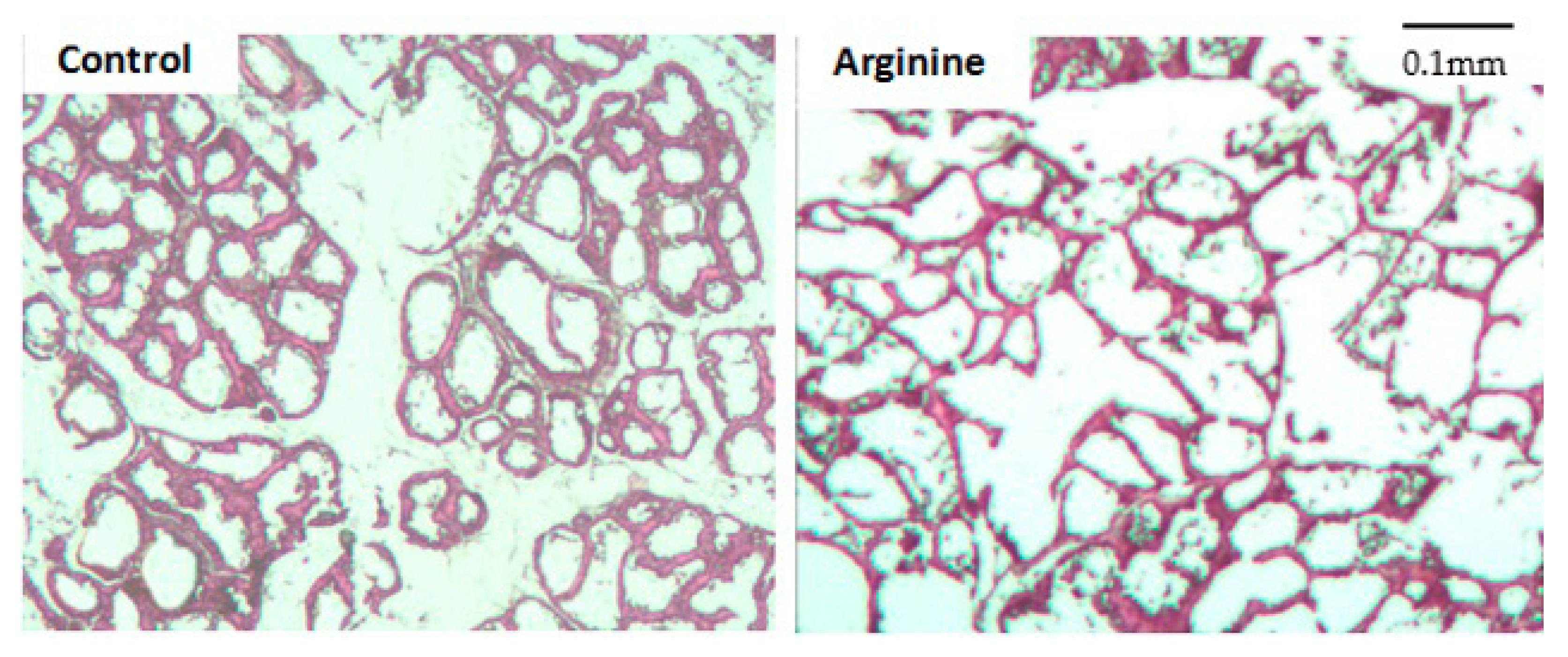 Animals 11 00535 g001