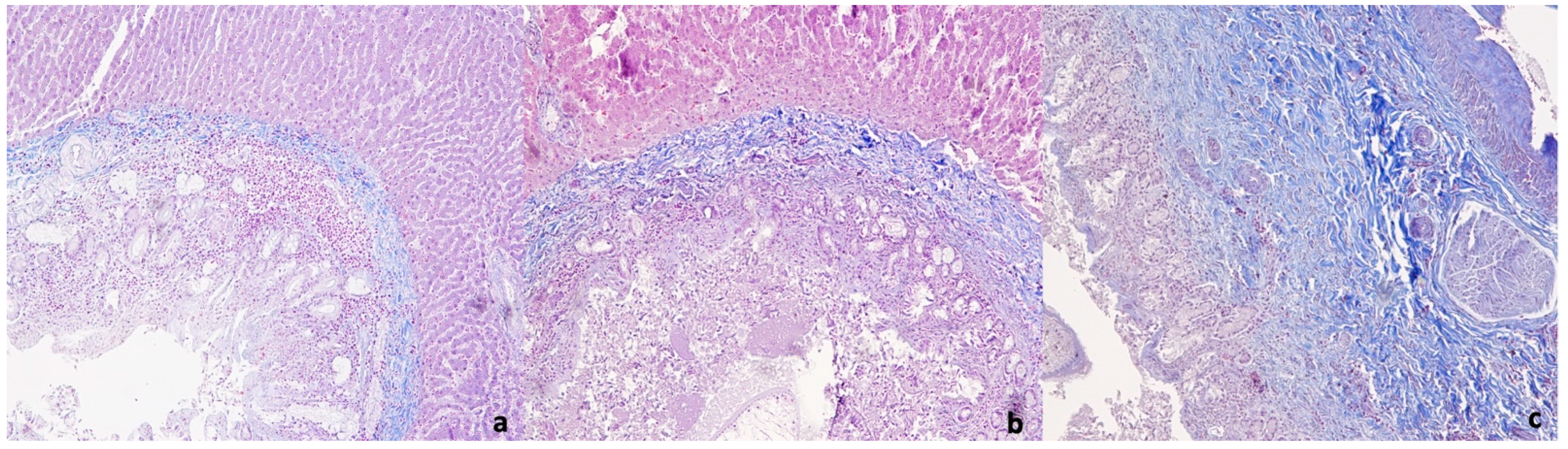 Animals 11 00546 g001 Animals 11 00546 g001