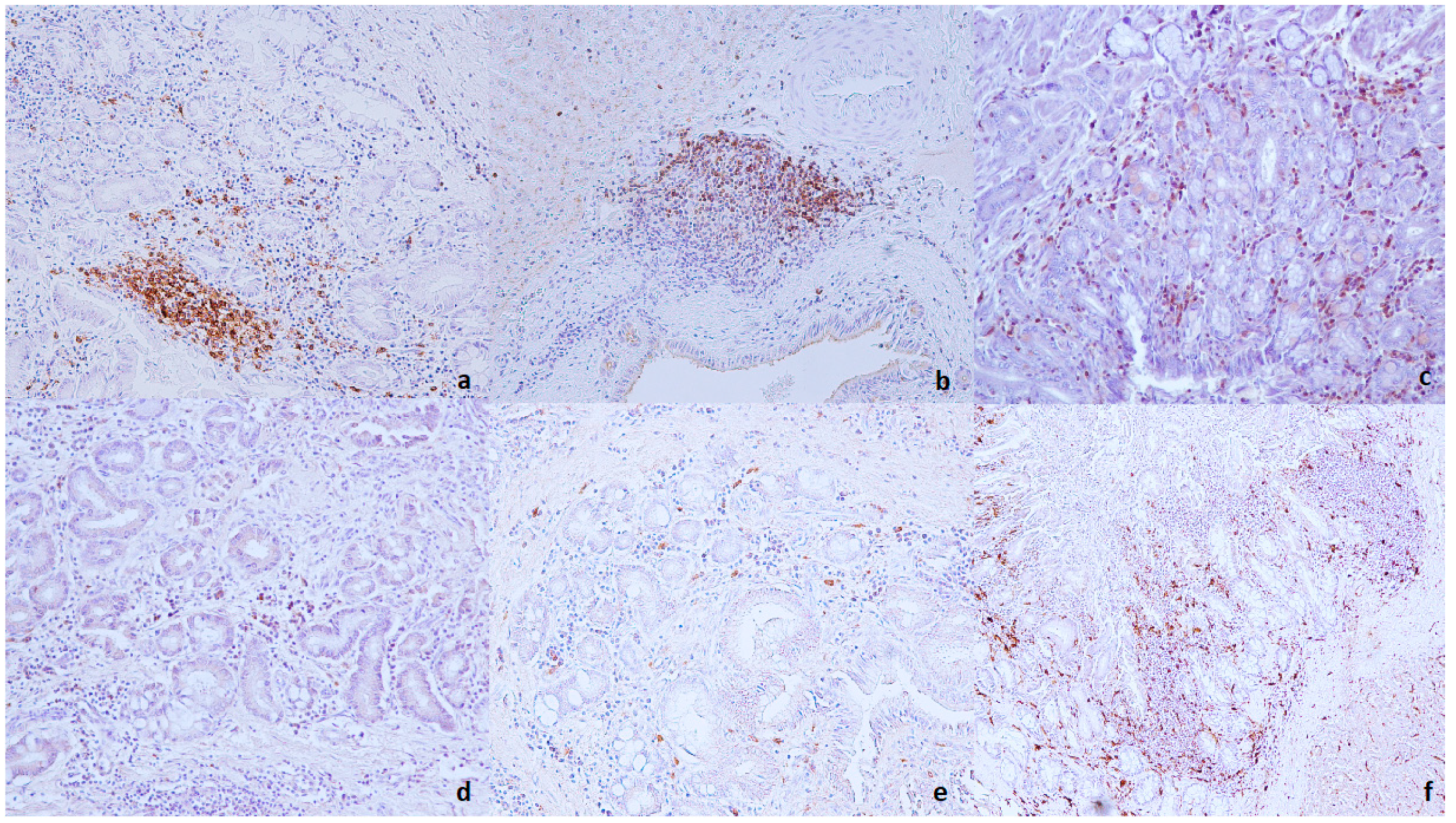 Animals 11 00546 g002 Animals 11 00546 g002