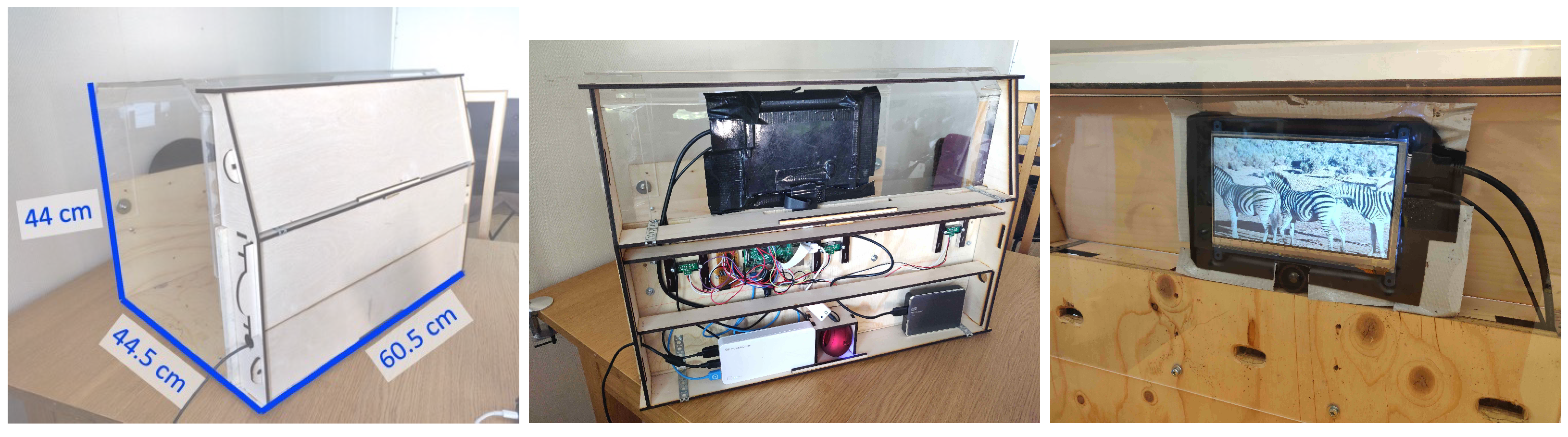 Animals 11 00557 g003