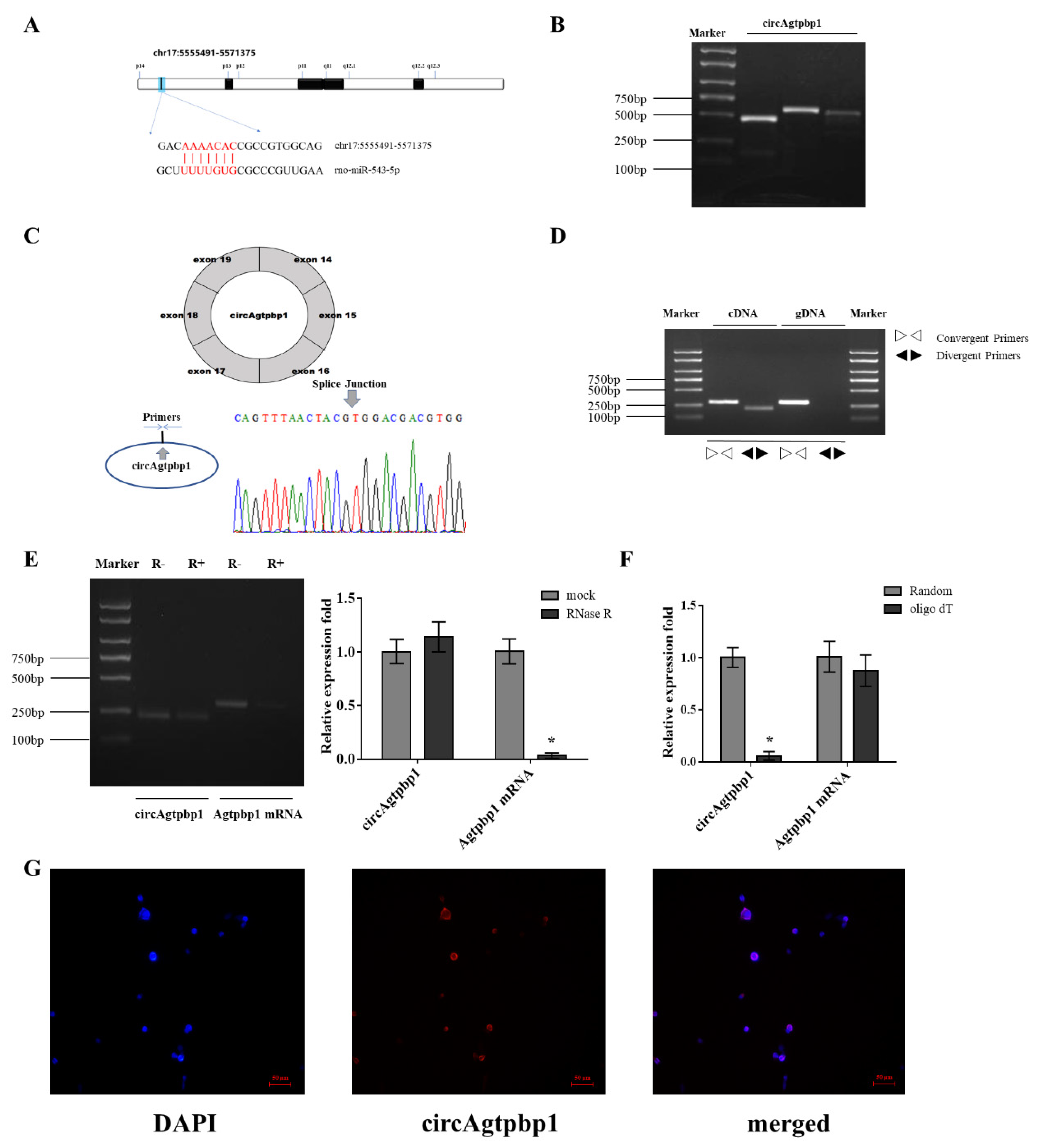 Animals 11 00558 g001 Animals 11 00558 g001