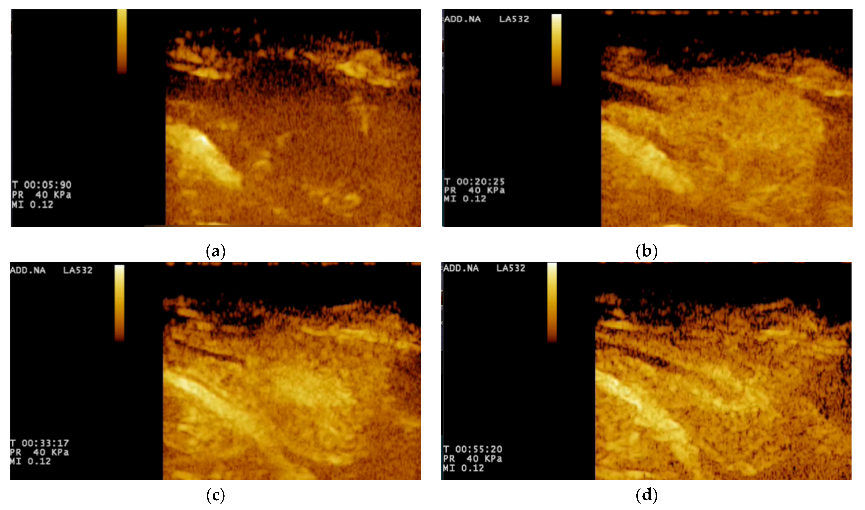 Animals 11 00559 g003