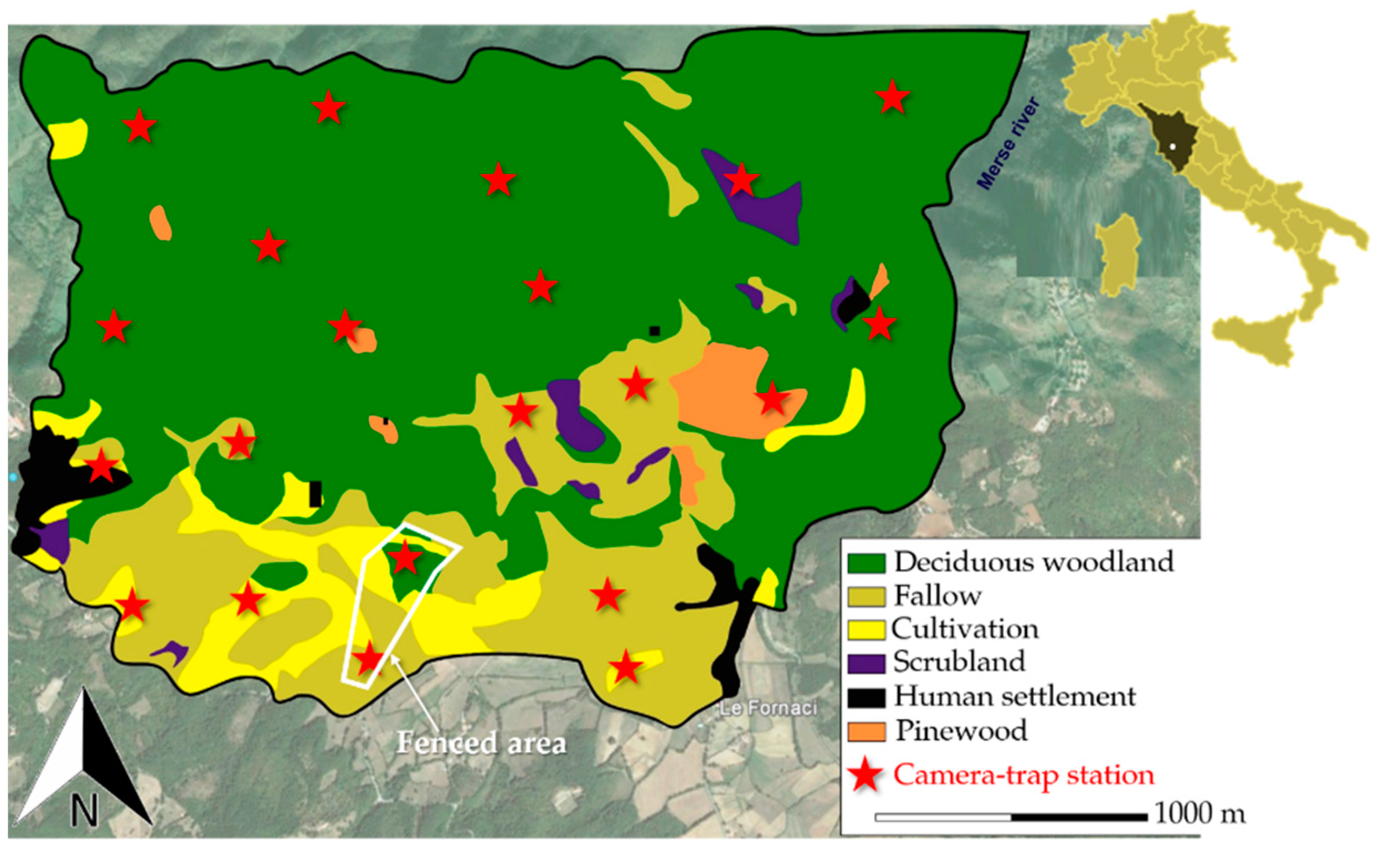 Animals 11 00562 g001