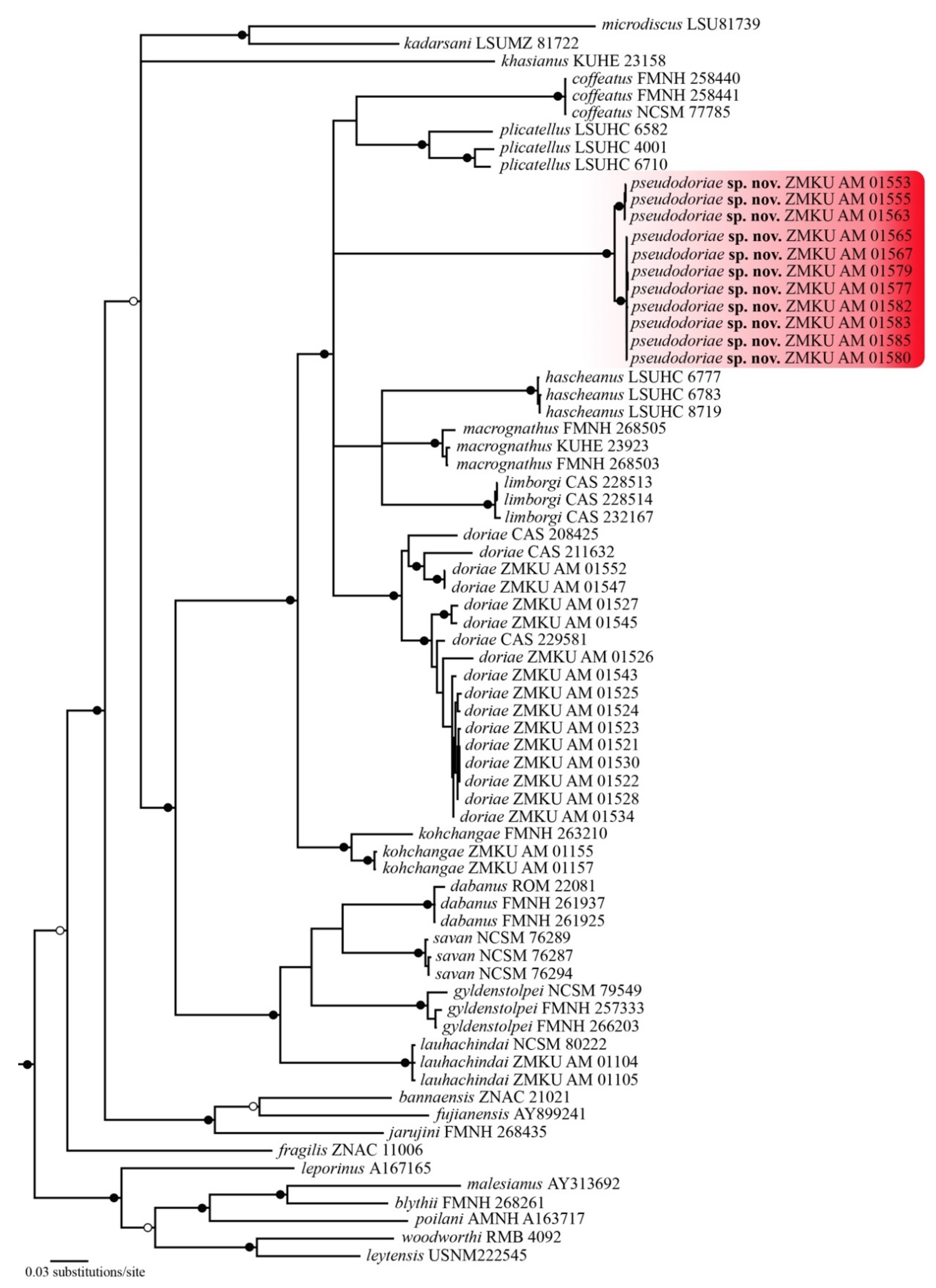 Animals 11 00566 g001 Animals 11 00566 g001