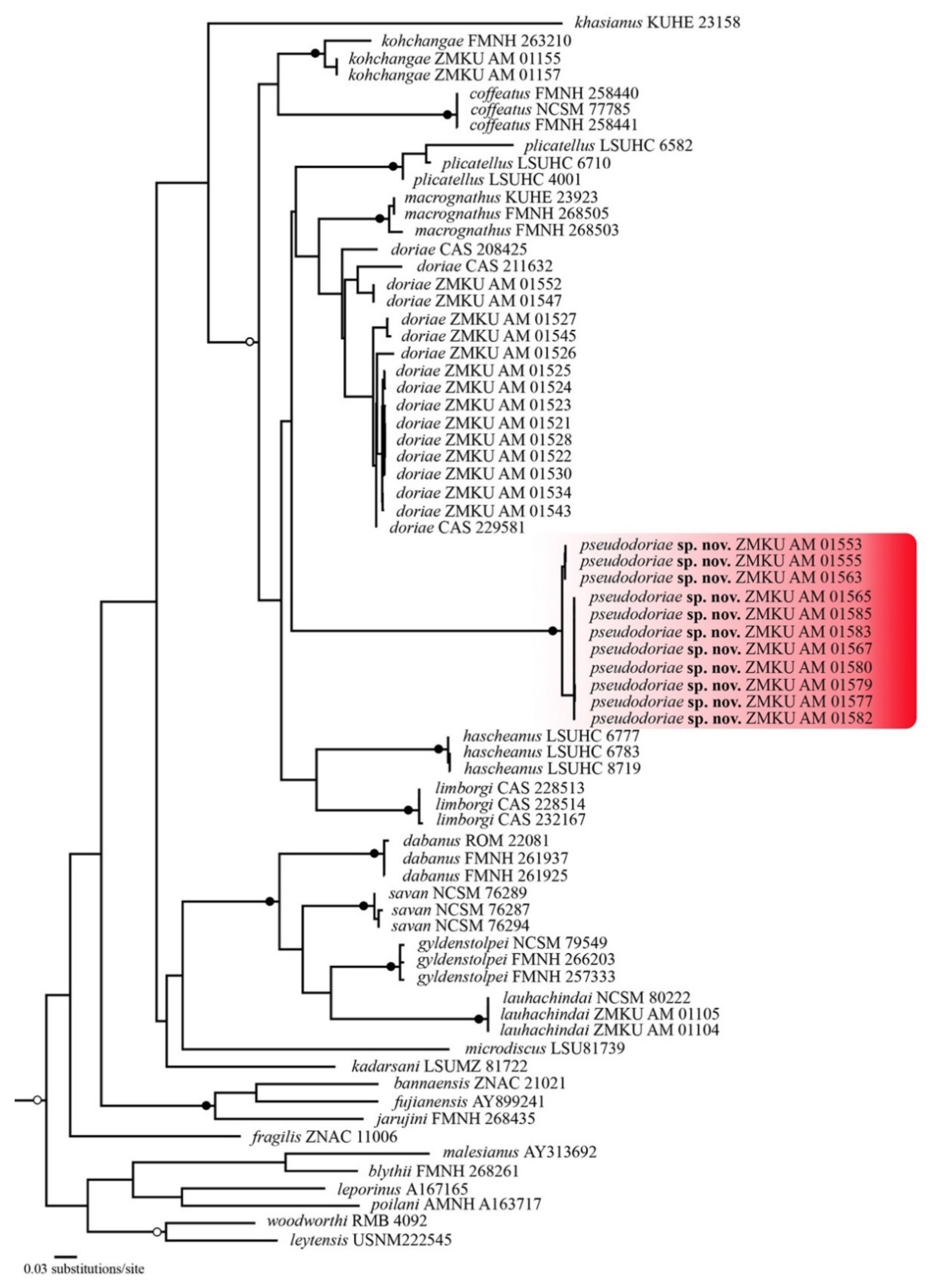 Animals 11 00566 g002 Animals 11 00566 g002