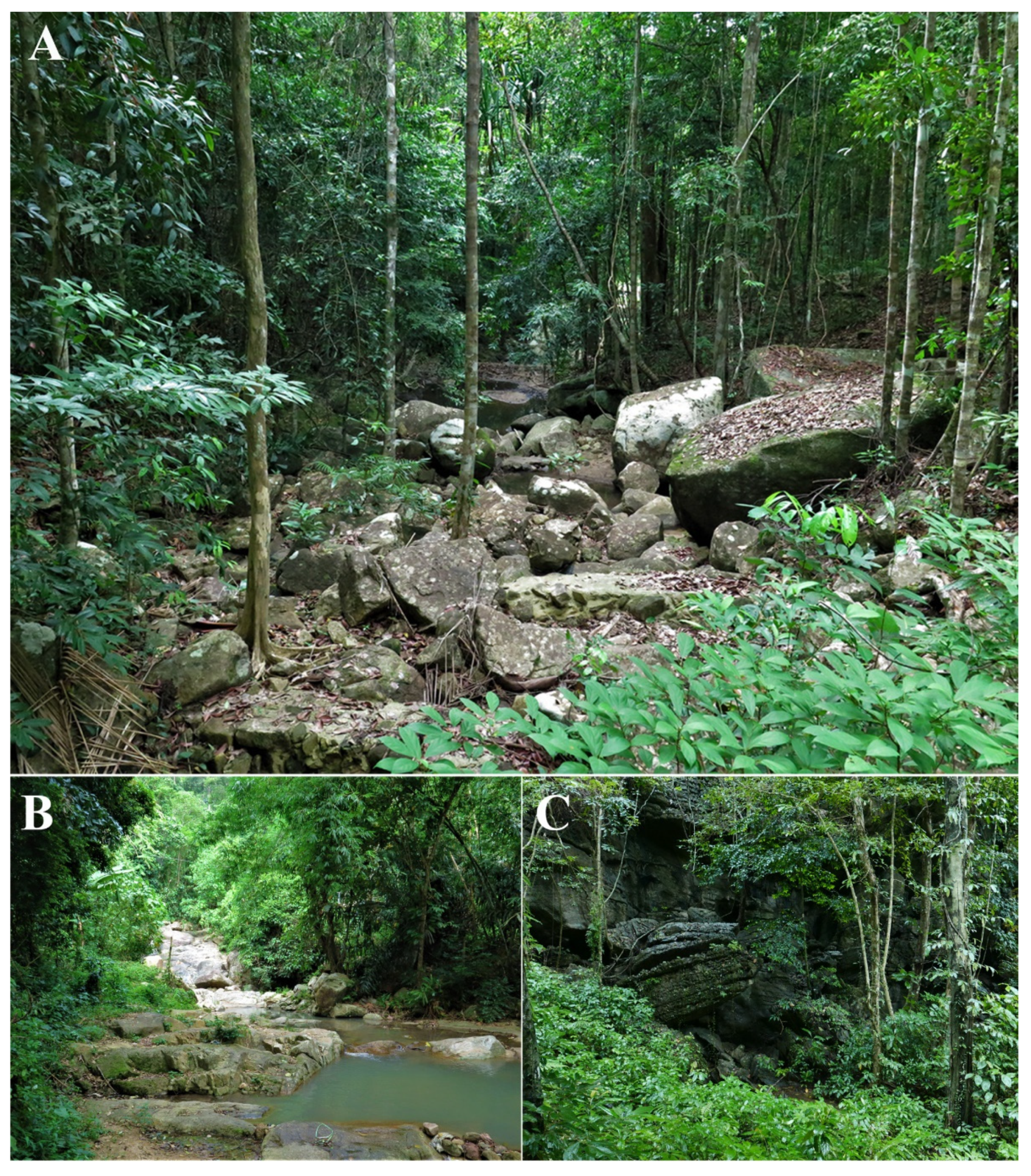 Animals 11 00566 g009 Animals 11 00566 g009