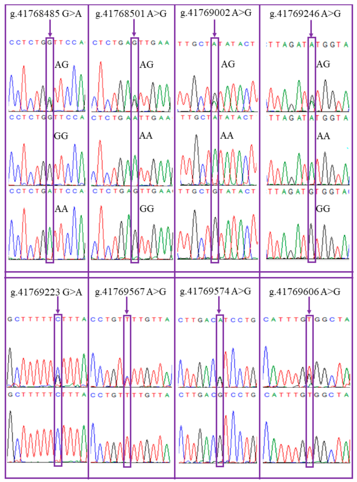 Animals 11 00571 g001 Animals 11 00571 g001