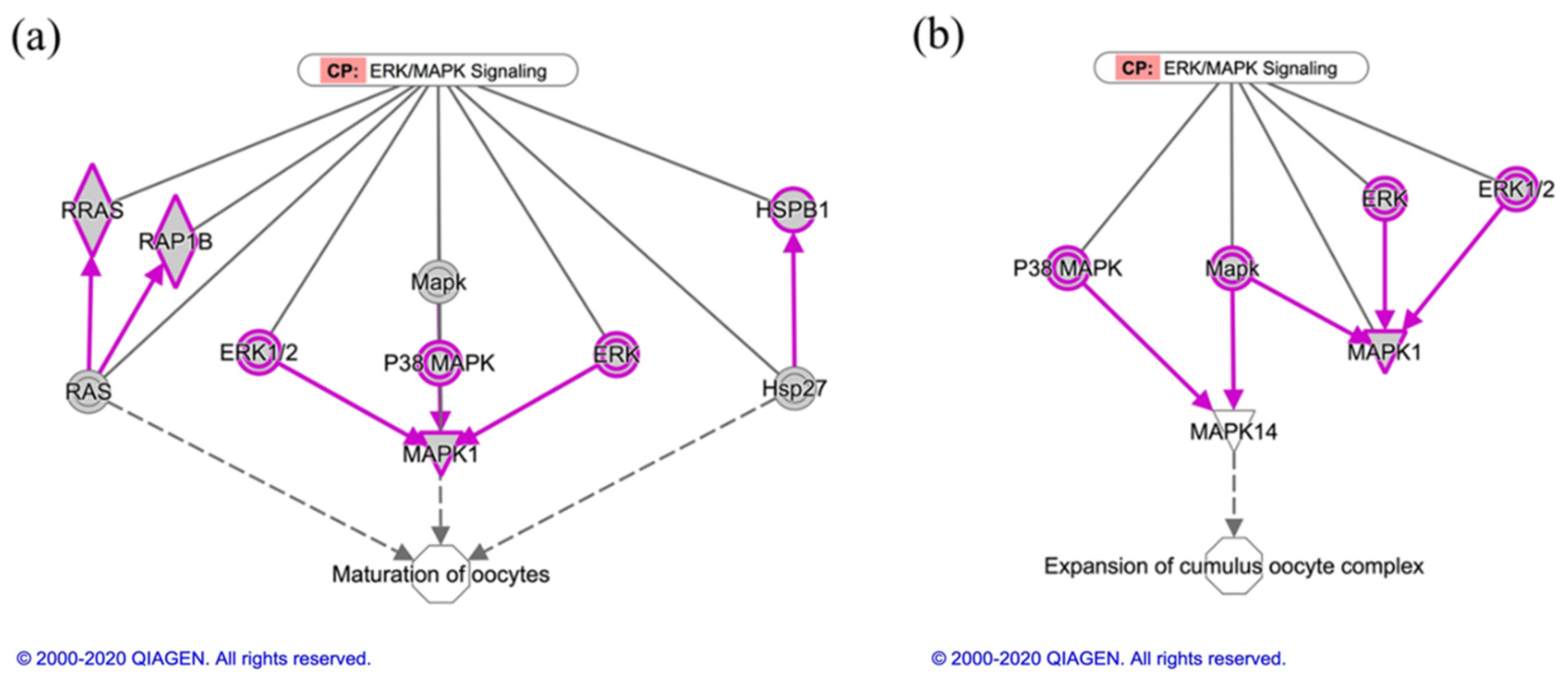 Animals 11 00573 g005