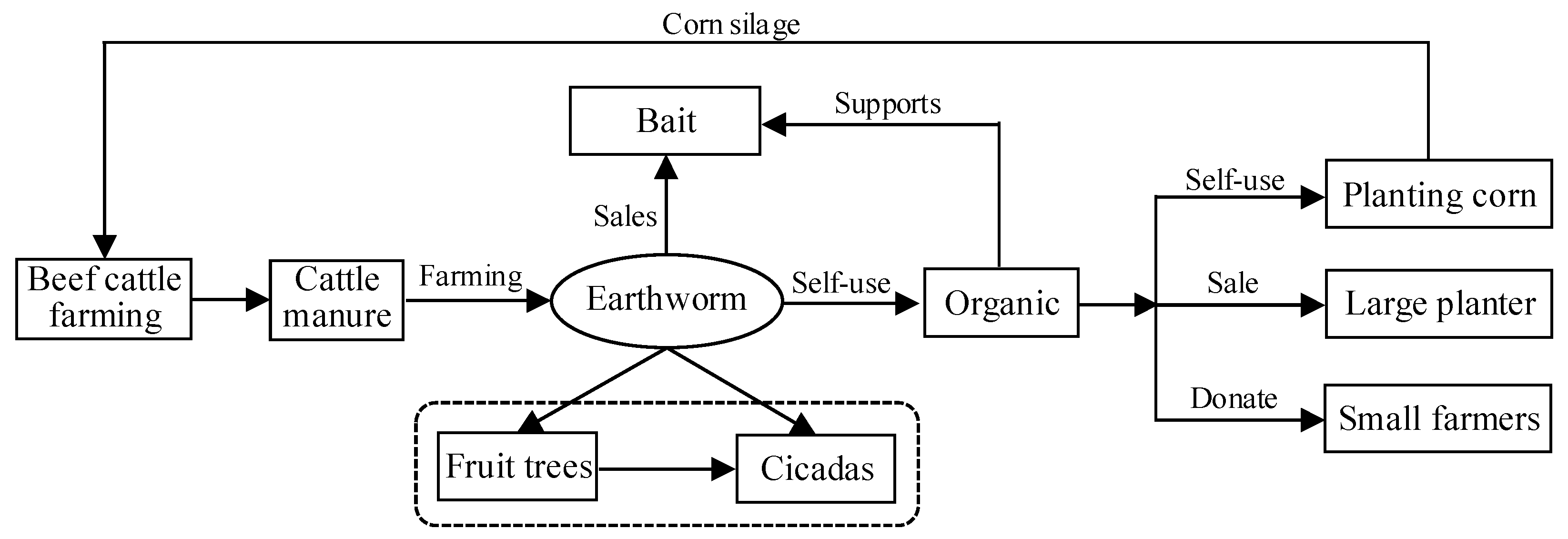 Animals 11 00574 g004