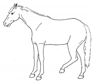 Animals 11 00580 i008