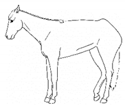 Animals 11 00580 i011