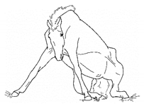 Animals 11 00580 i014