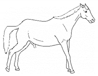 Animals 11 00580 i015