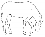 Animals 11 00580 i020