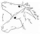 Animals 11 00580 i036