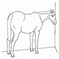 Animals 11 00580 i051