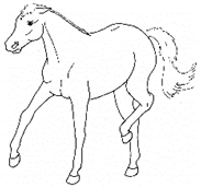 Animals 11 00580 i053