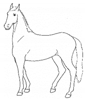 Animals 11 00580 i054