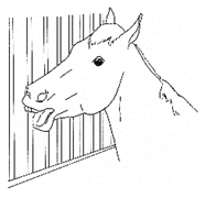 Animals 11 00580 i059