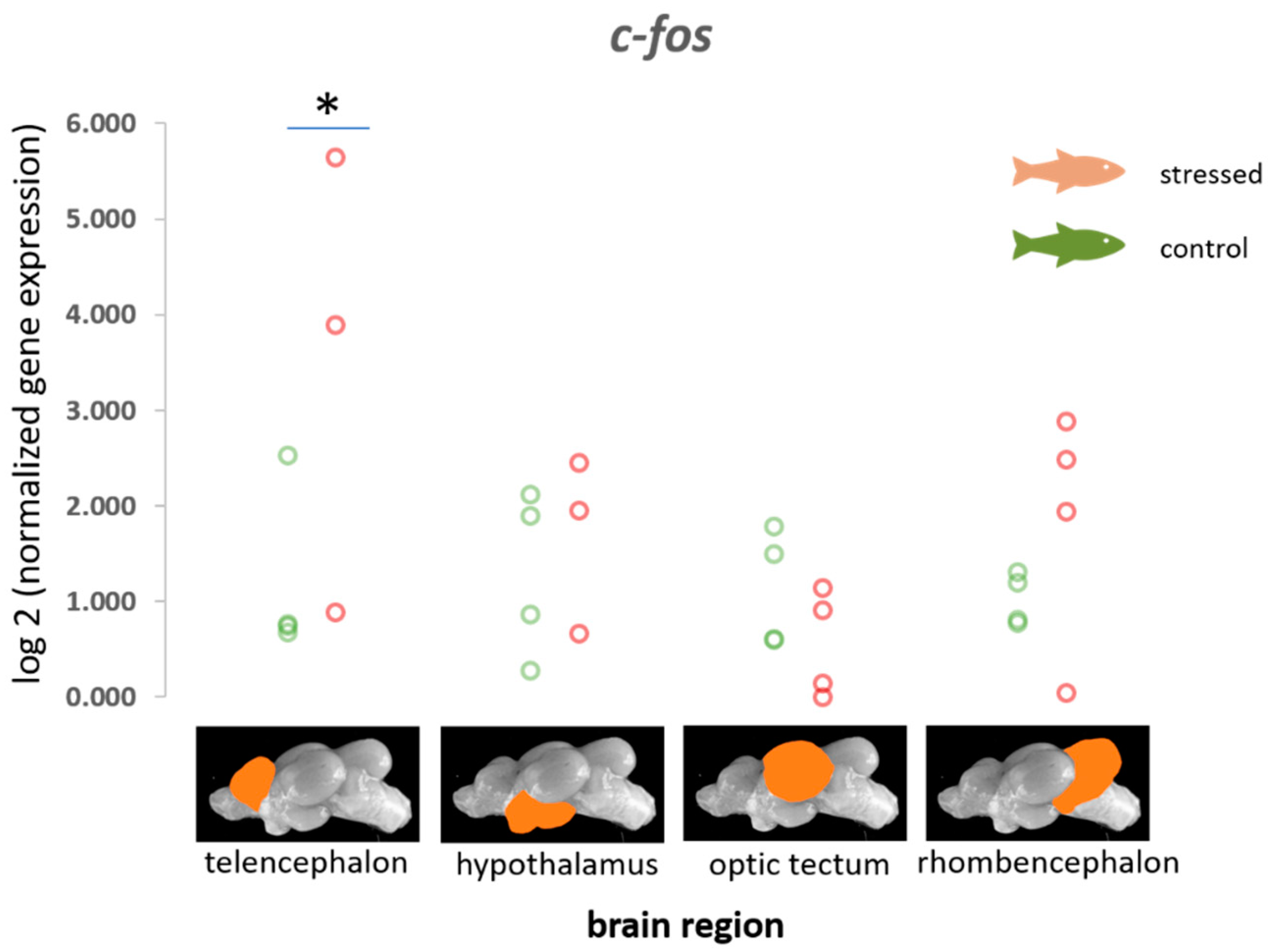 Animals 11 00585 g001