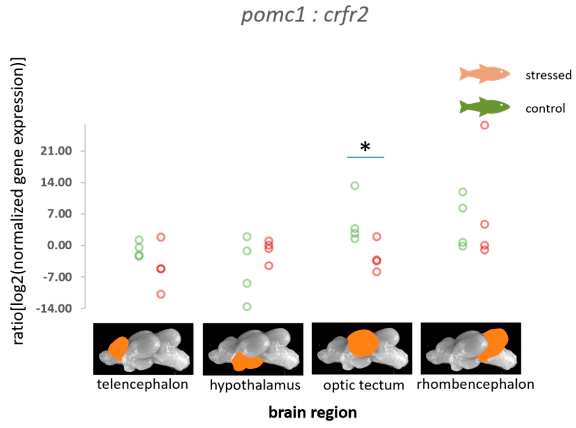 Animals 11 00585 g003