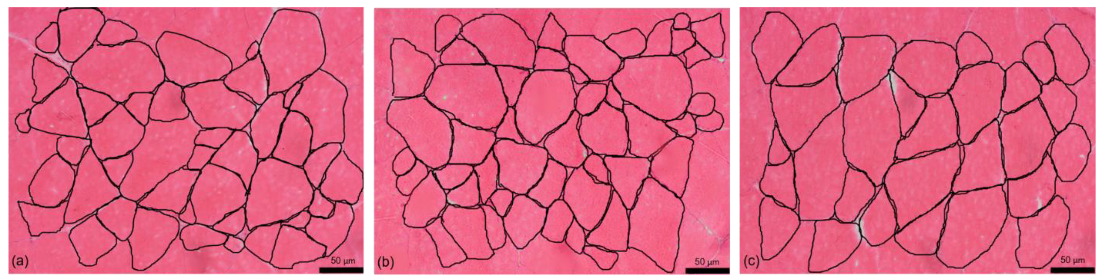 Animals 11 00590 g001