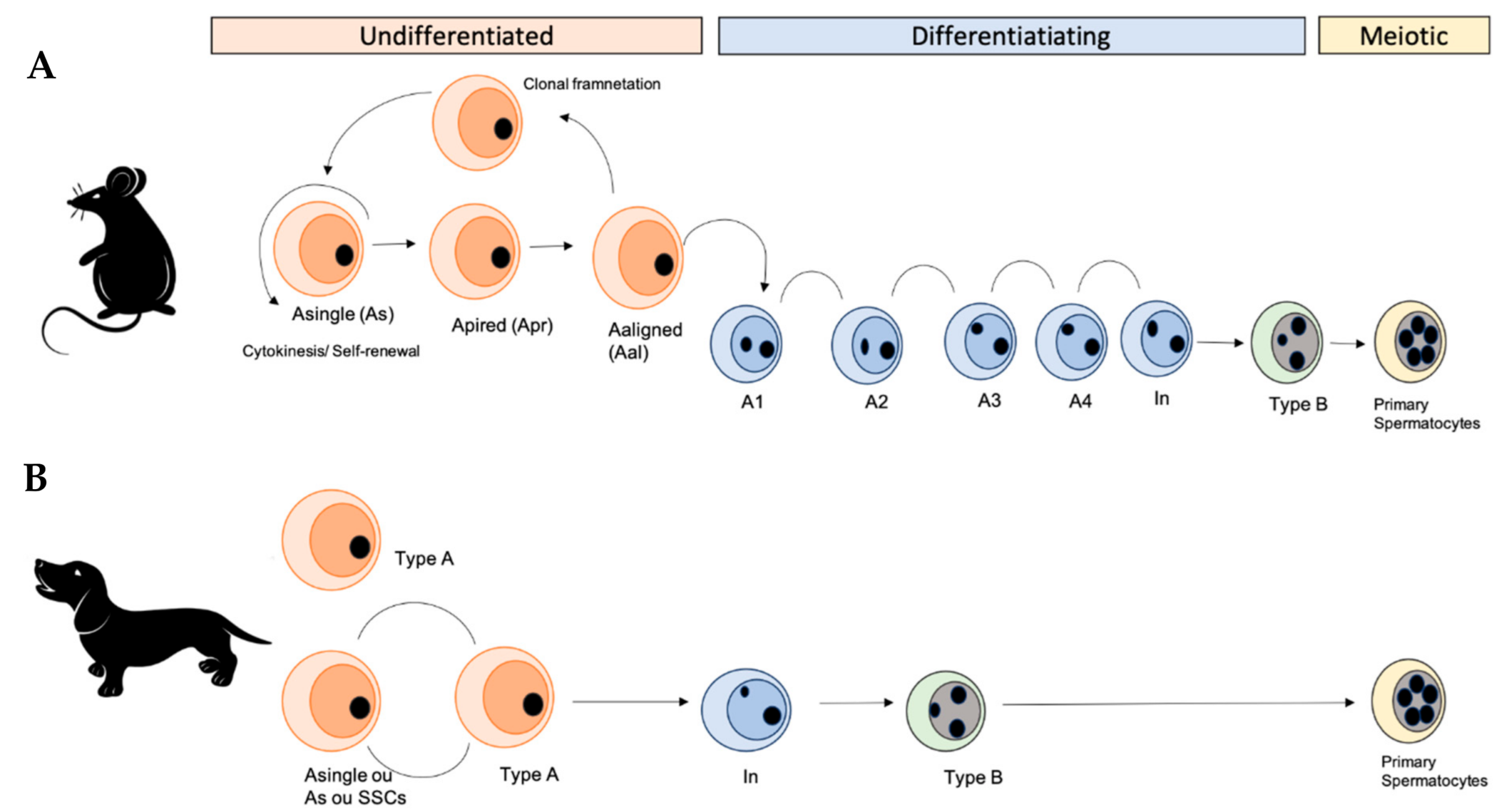 Animals 11 00598 g002 Animals 11 00598 g002