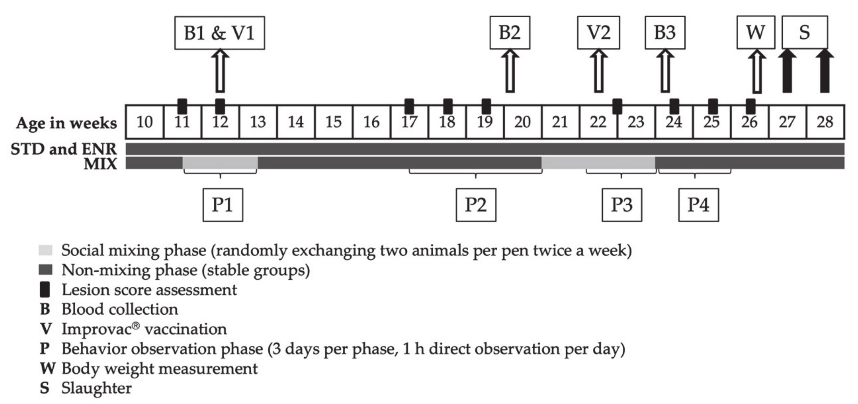 Animals 11 00618 g001 Animals 11 00618 g001