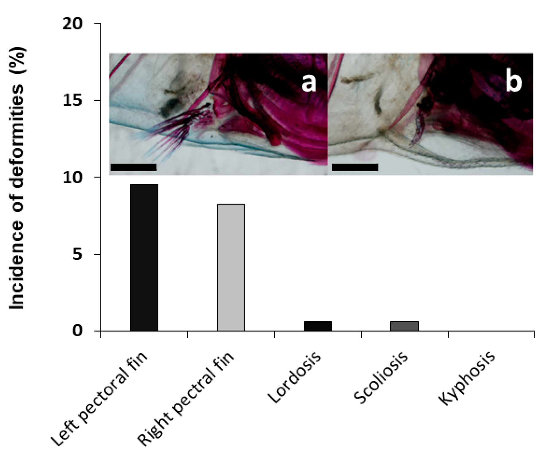Animals 11 00621 g006