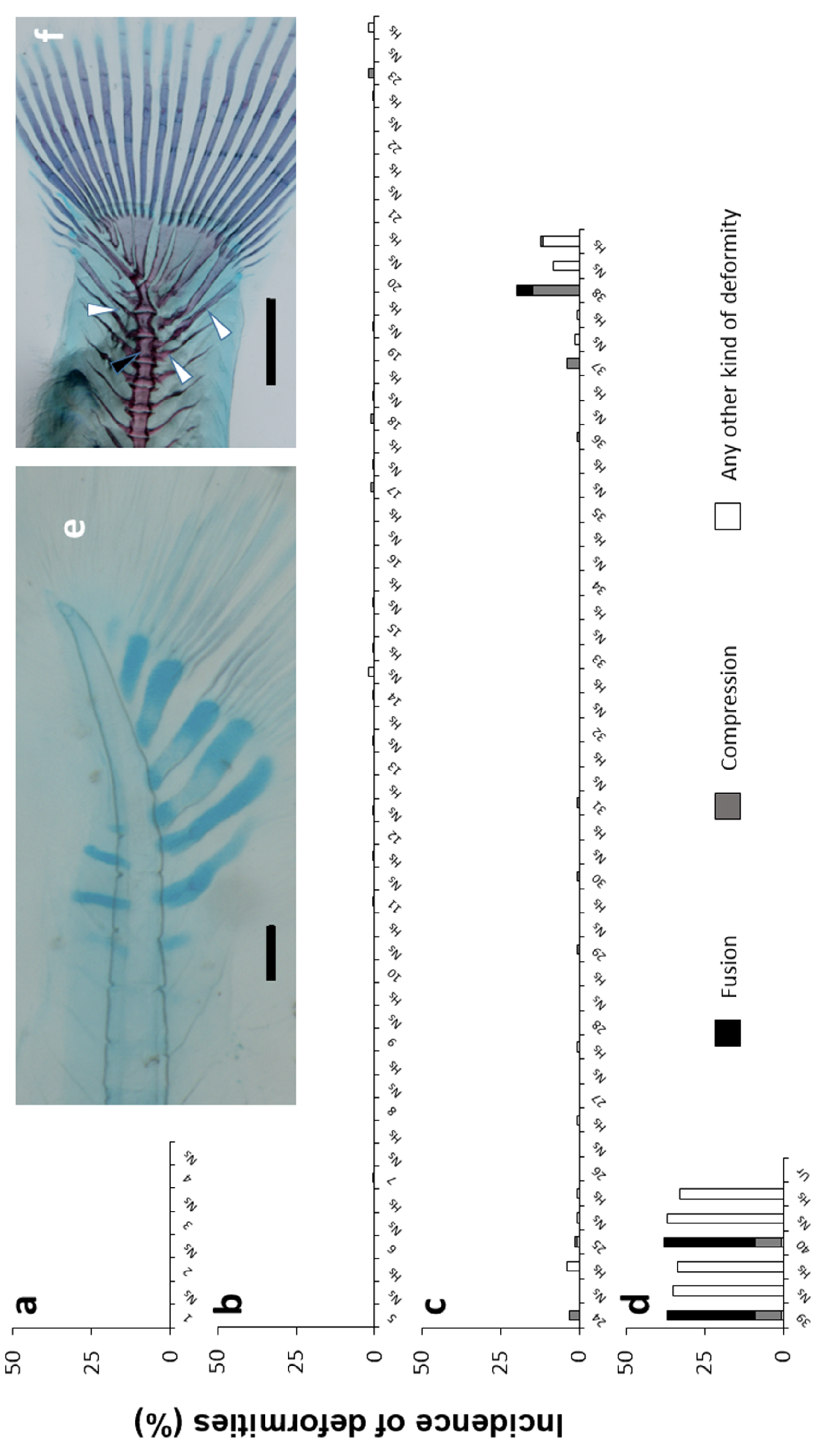 Animals 11 00621 g007