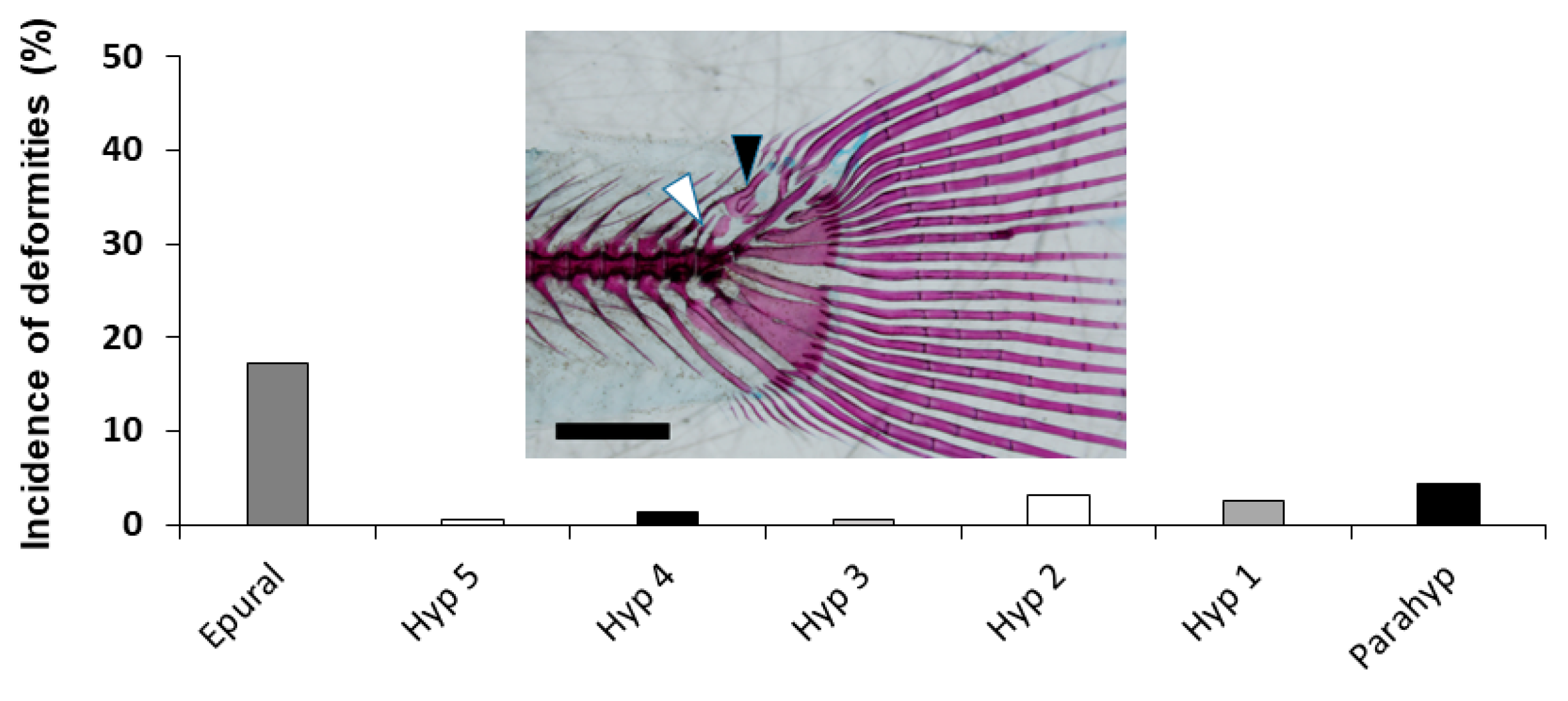 Animals 11 00621 g008