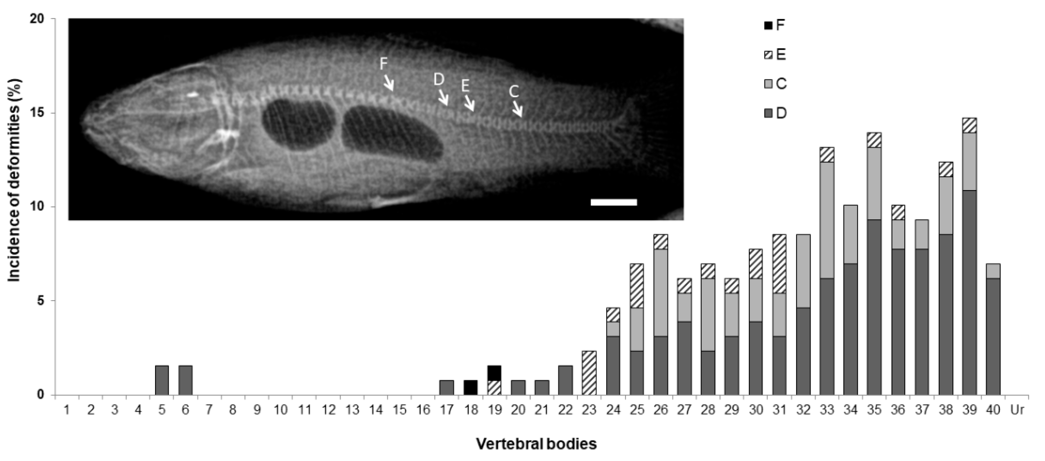 Animals 11 00621 g009
