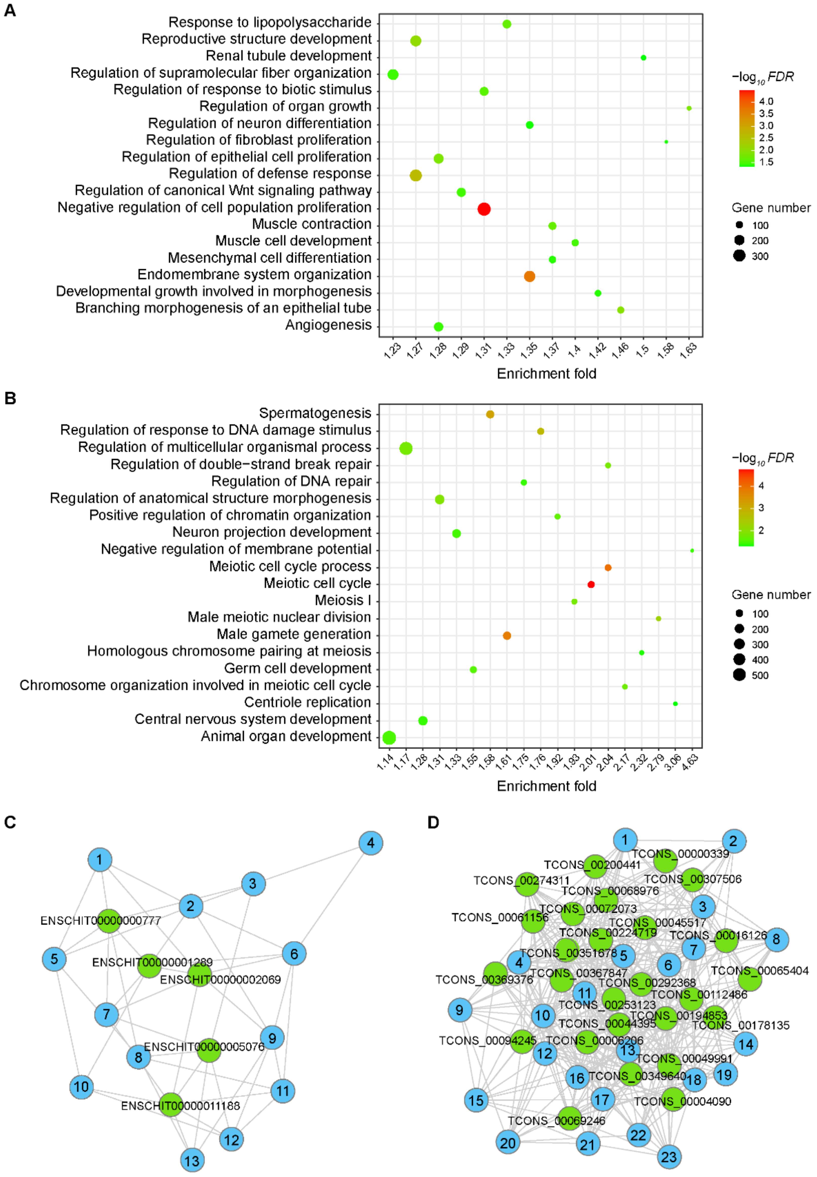 Animals 11 00625 g004 Animals 11 00625 g004