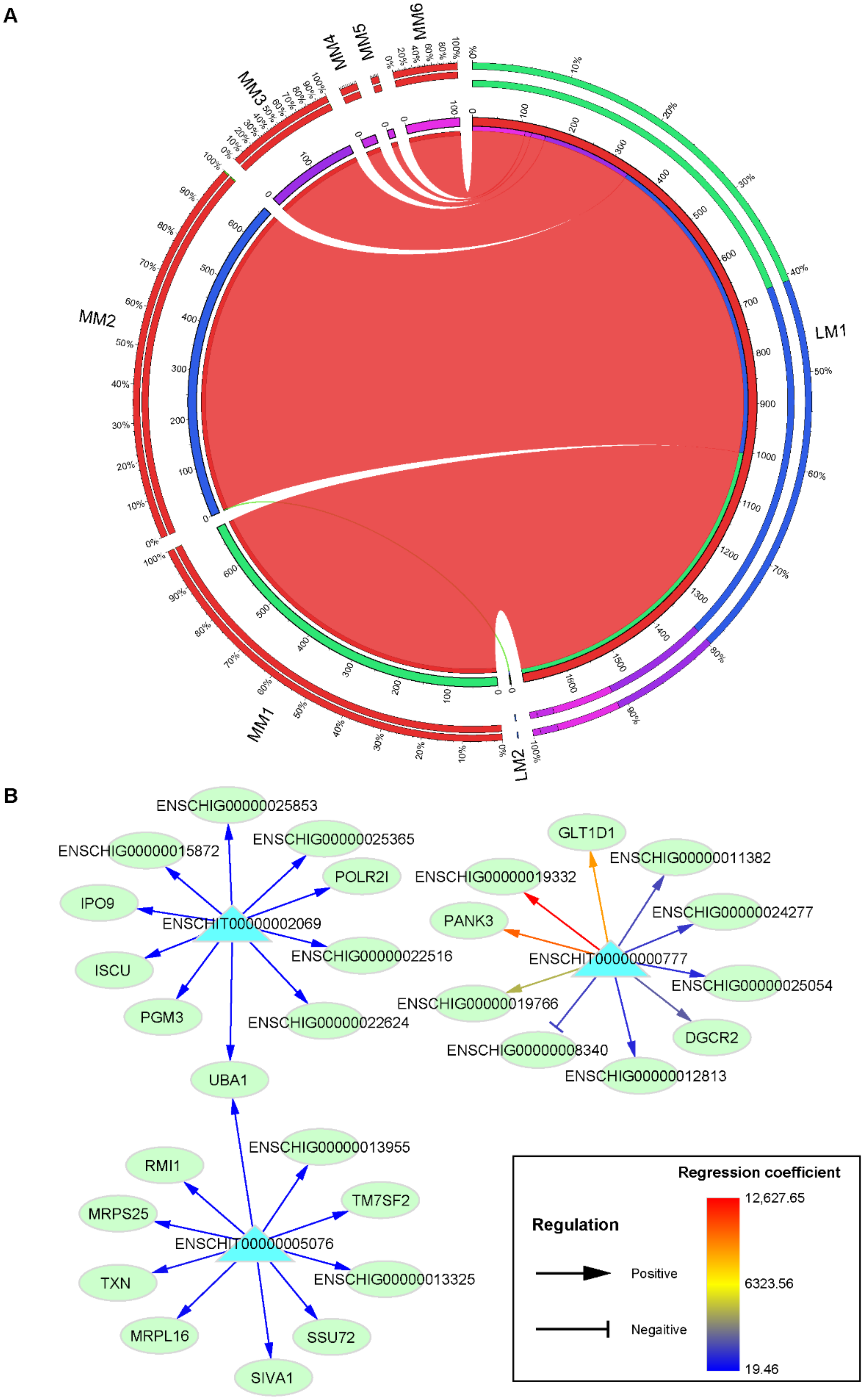 Animals 11 00625 g005 Animals 11 00625 g005