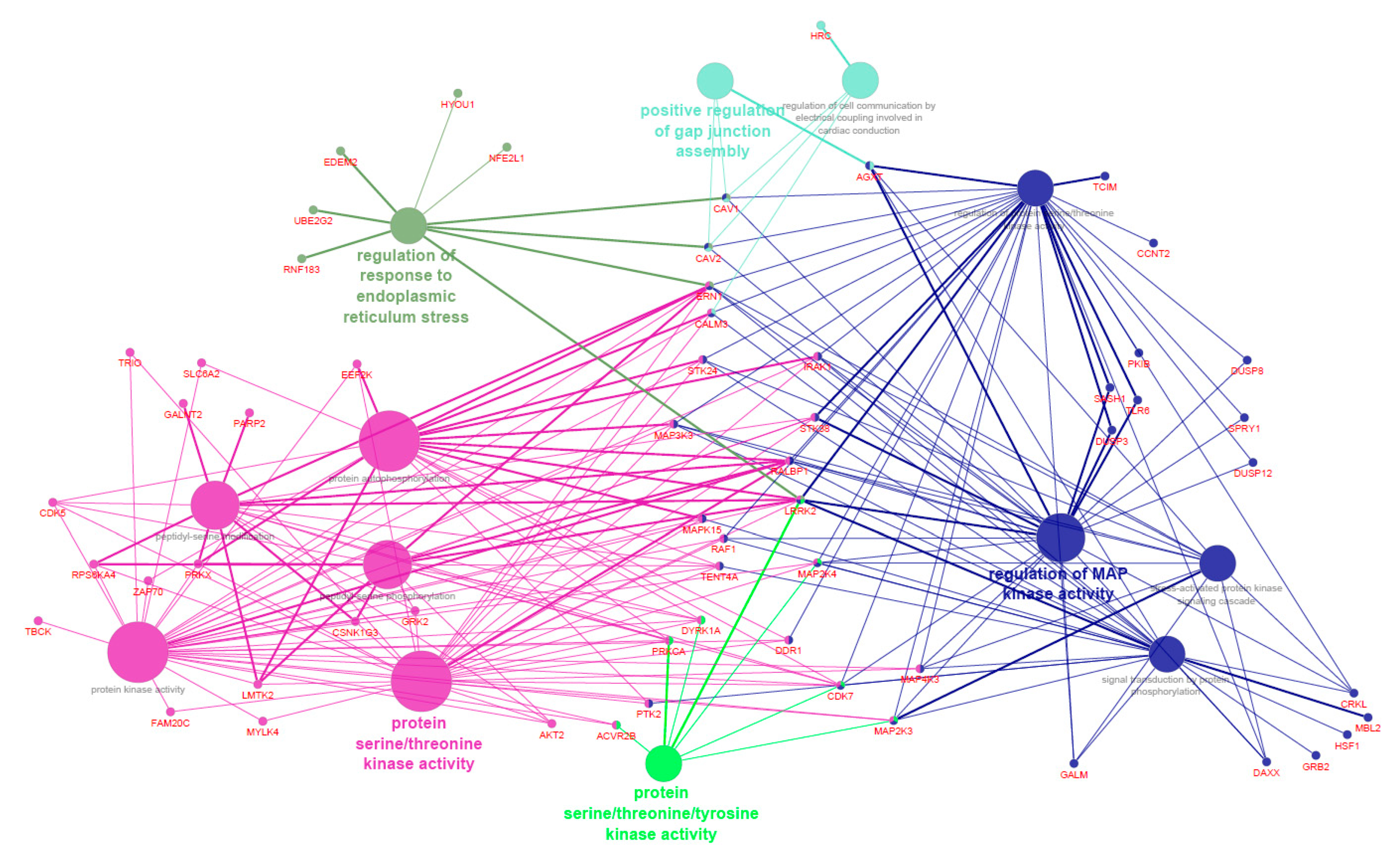 Animals 11 00628 g003 Animals 11 00628 g003