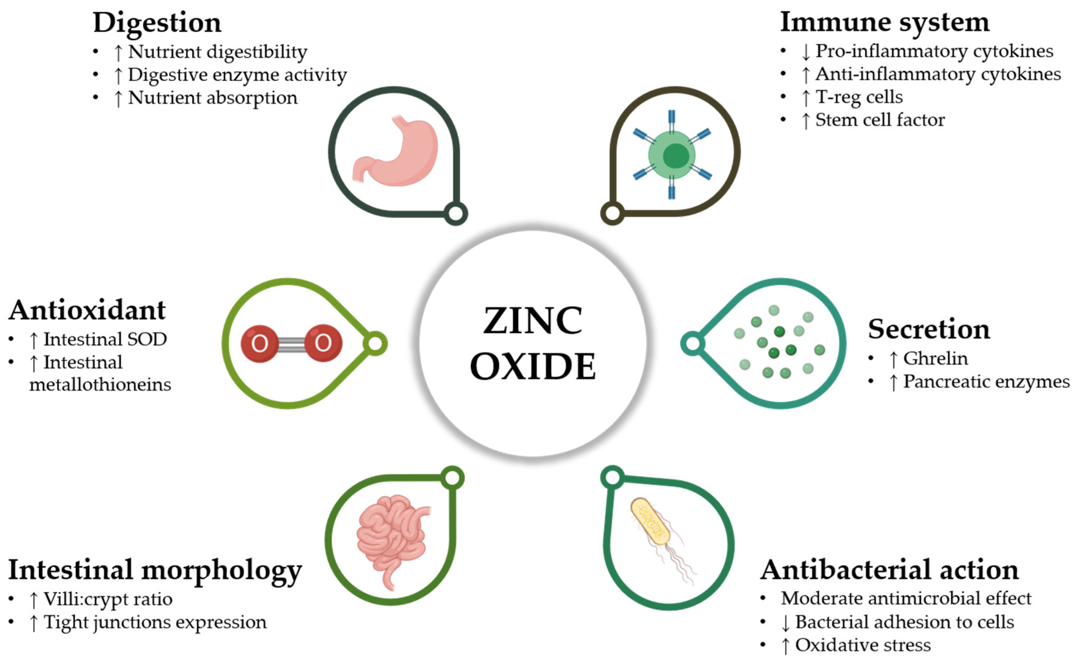 Animals 11 00642 g001 Animals 11 00642 g001