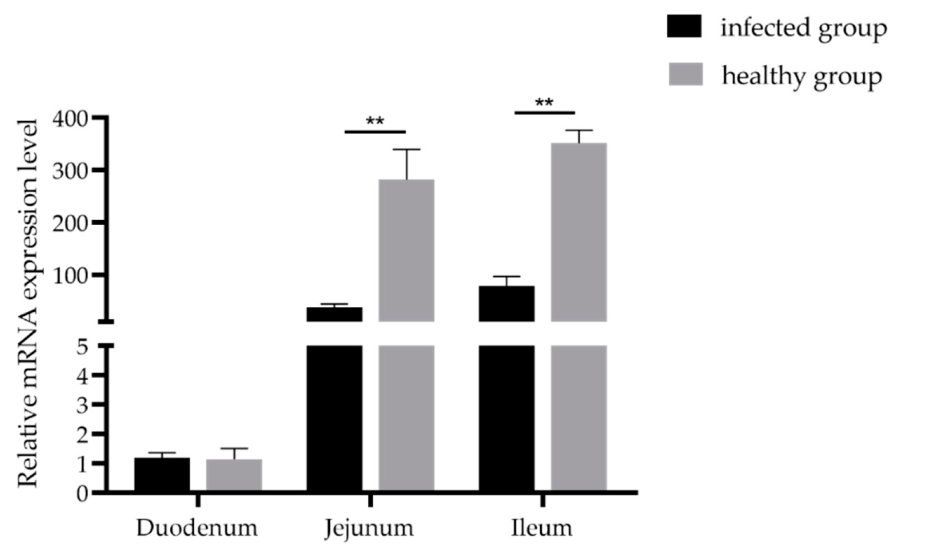 Animals 11 00644 g002