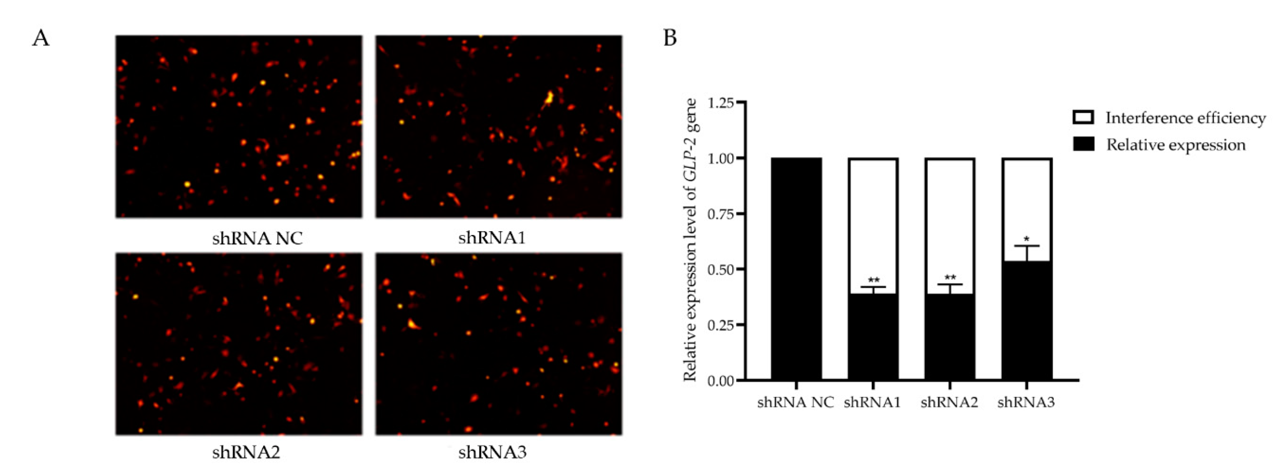 Animals 11 00644 g004