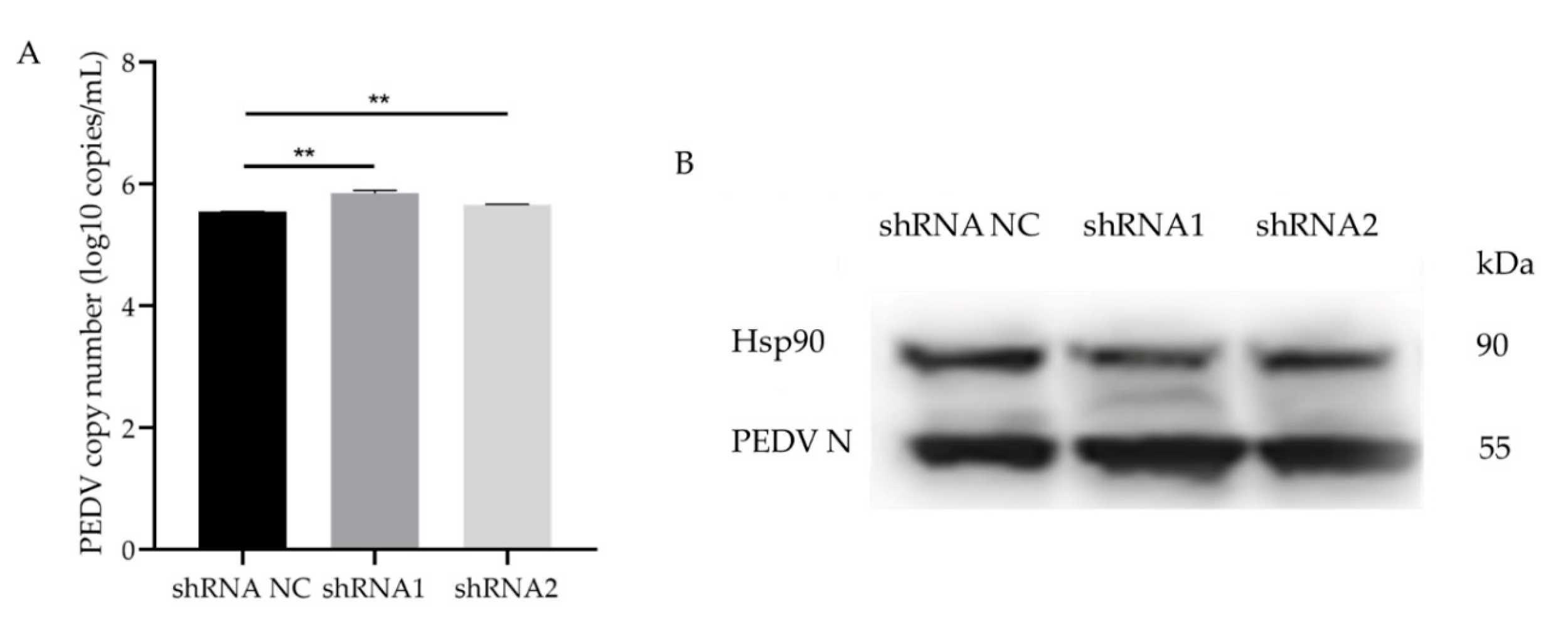 Animals 11 00644 g005