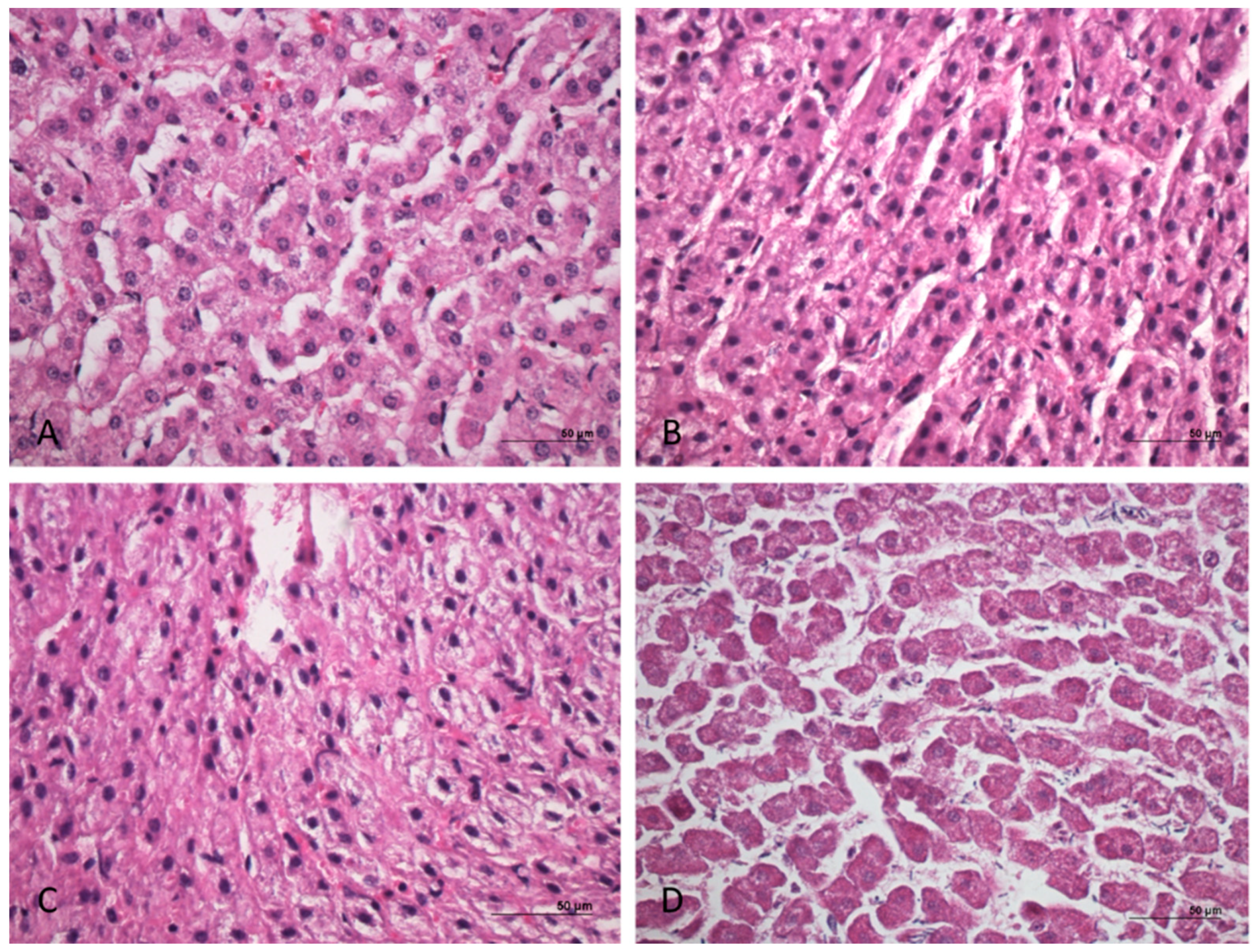 Animals 11 00649 g002 Animals 11 00649 g002