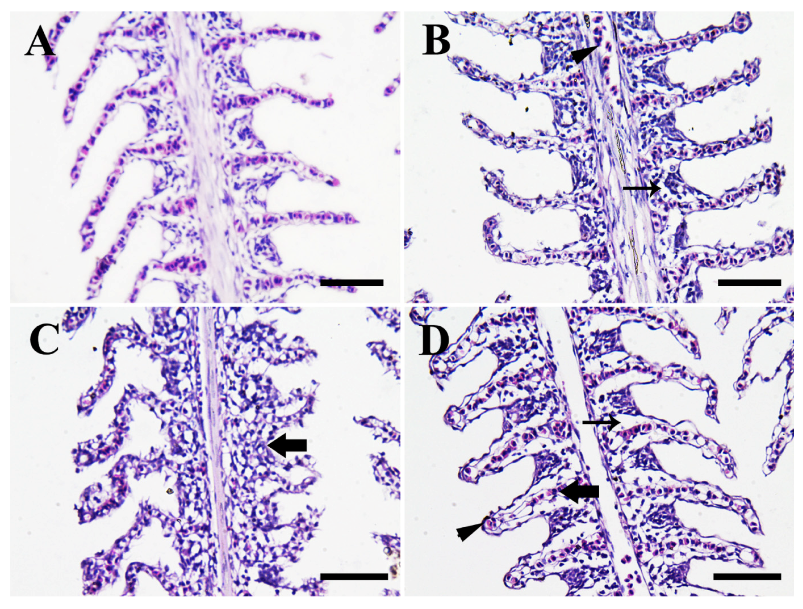 Animals 11 00652 g007