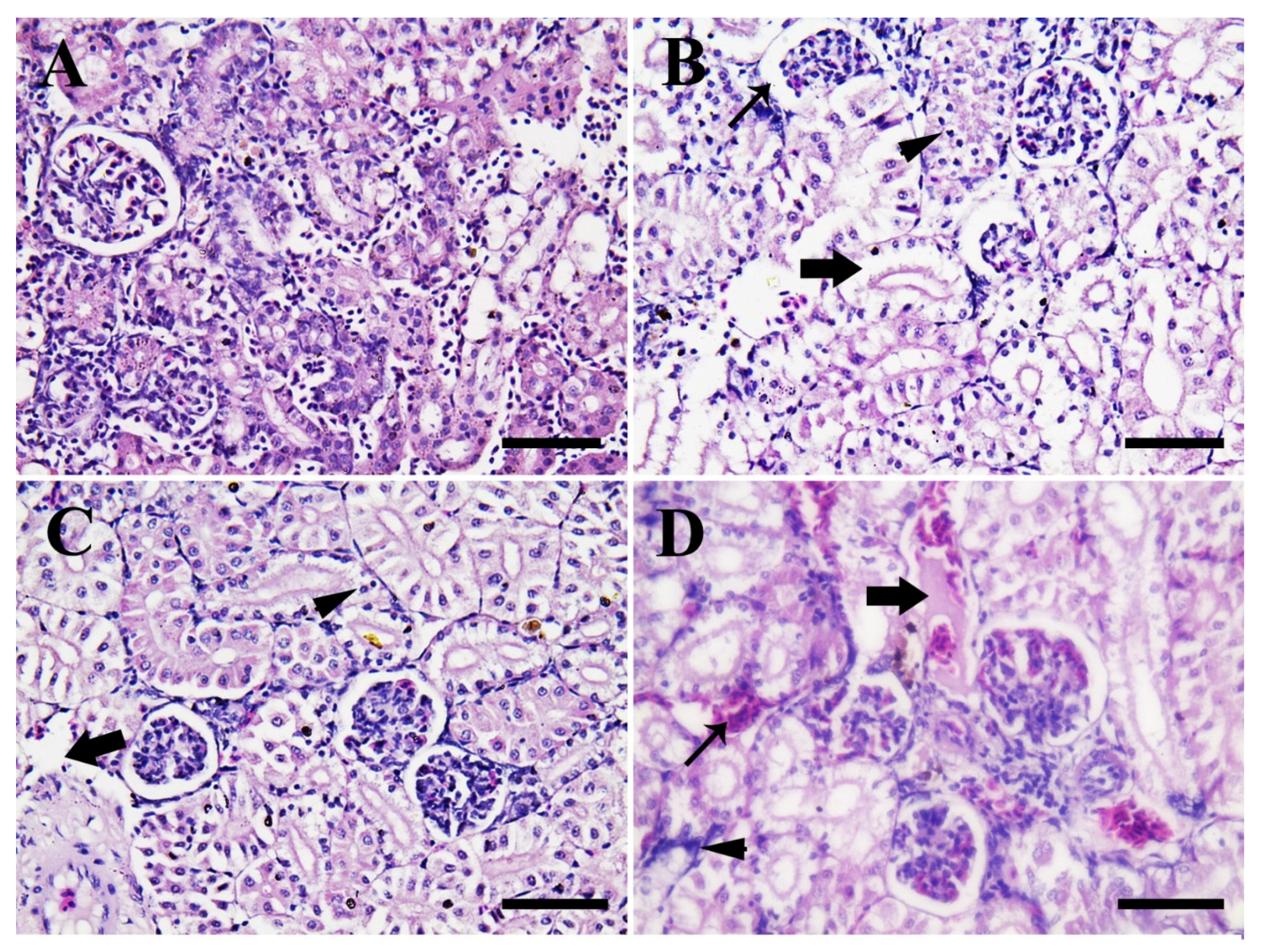 Animals 11 00652 g009