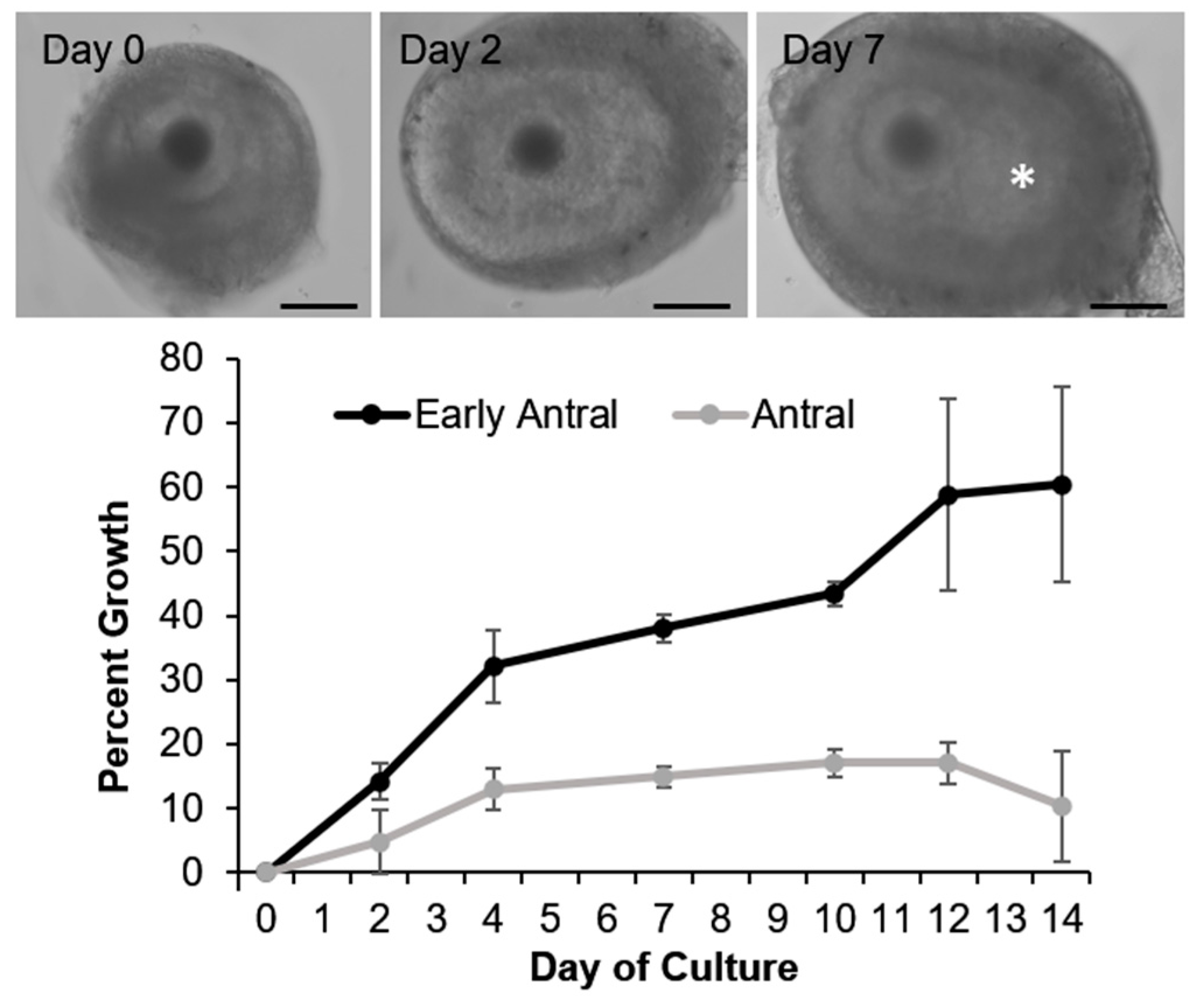 Animals | Free Full-Text | Canid Reproductive Biology: Norm and Unique Aspects in Strategies and Mechanisms Animals | Free Full-Text | Canid Reproductive Biology: Norm and Unique Aspects in Strategies and Mechanisms