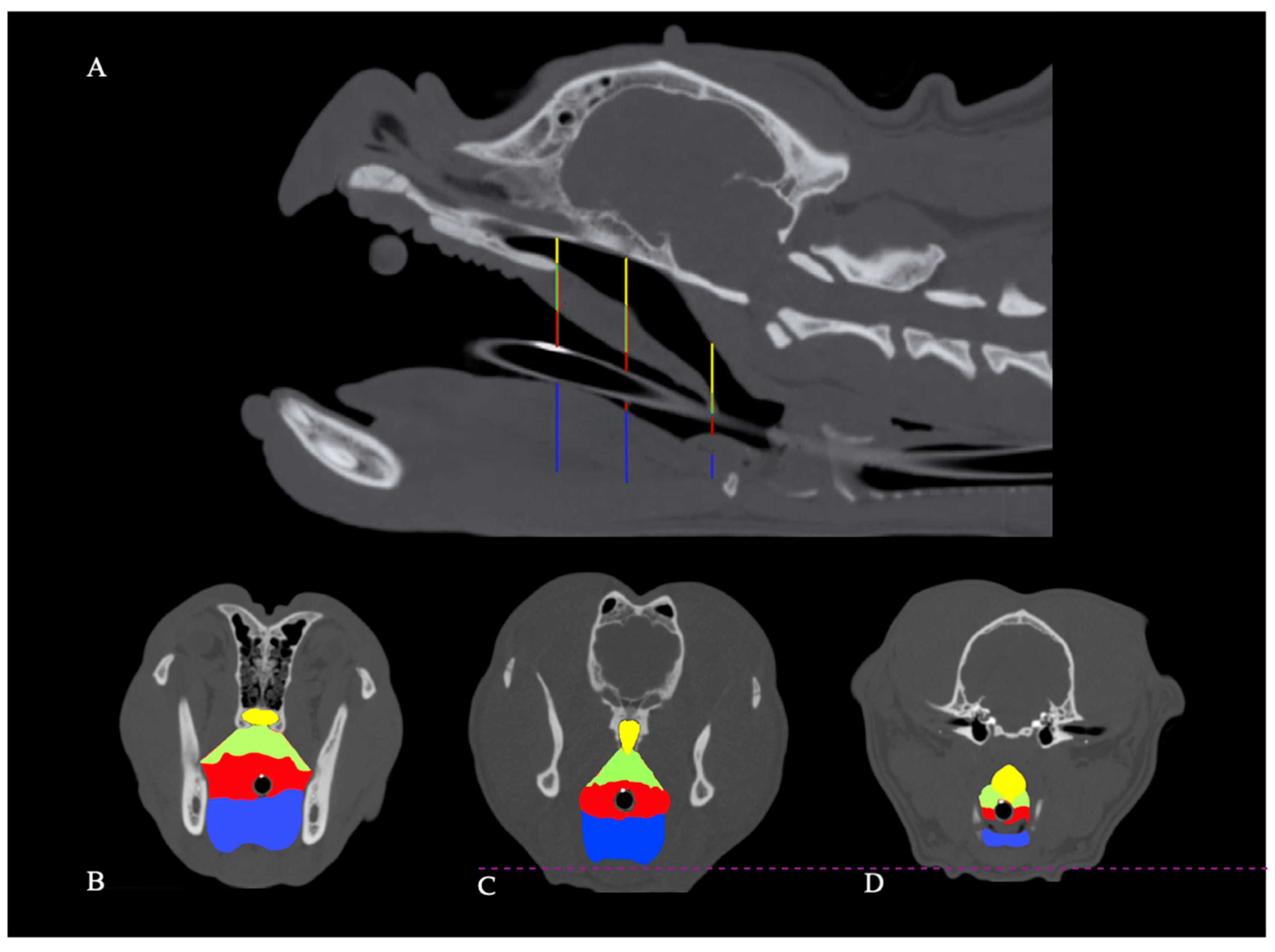 Animals 11 00662 g001