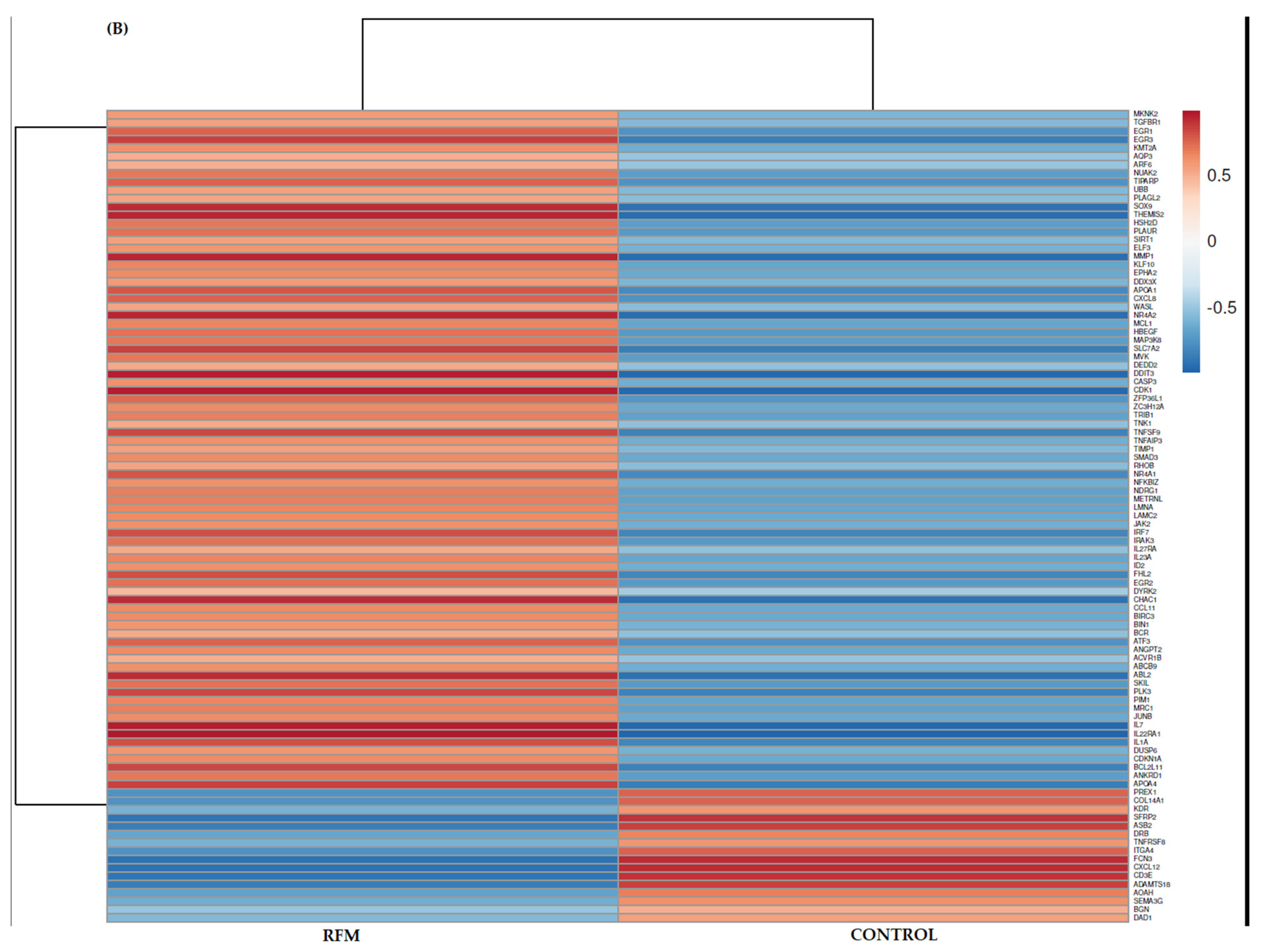 Animals 11 00675 g001b