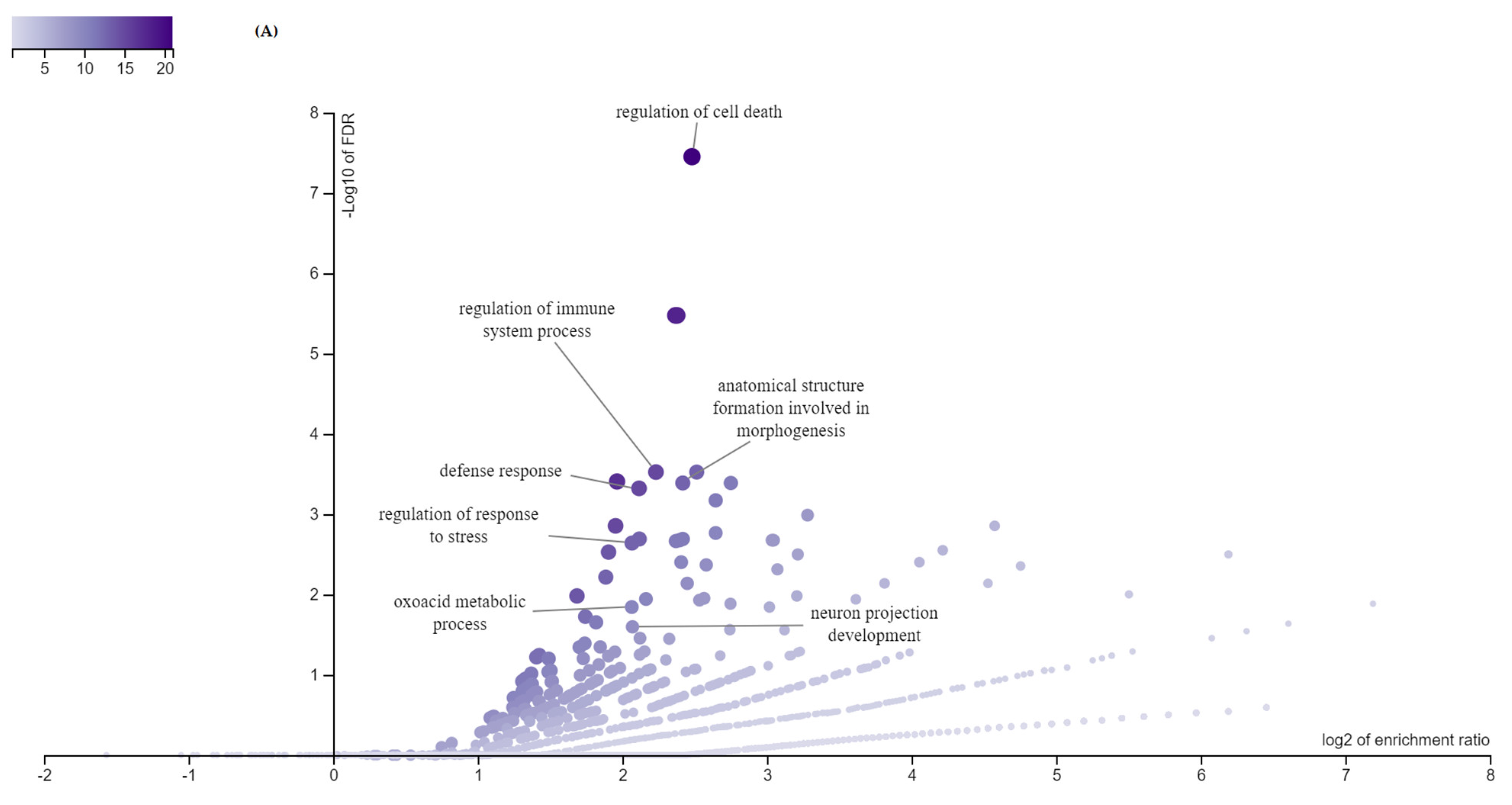 Animals 11 00675 g002a