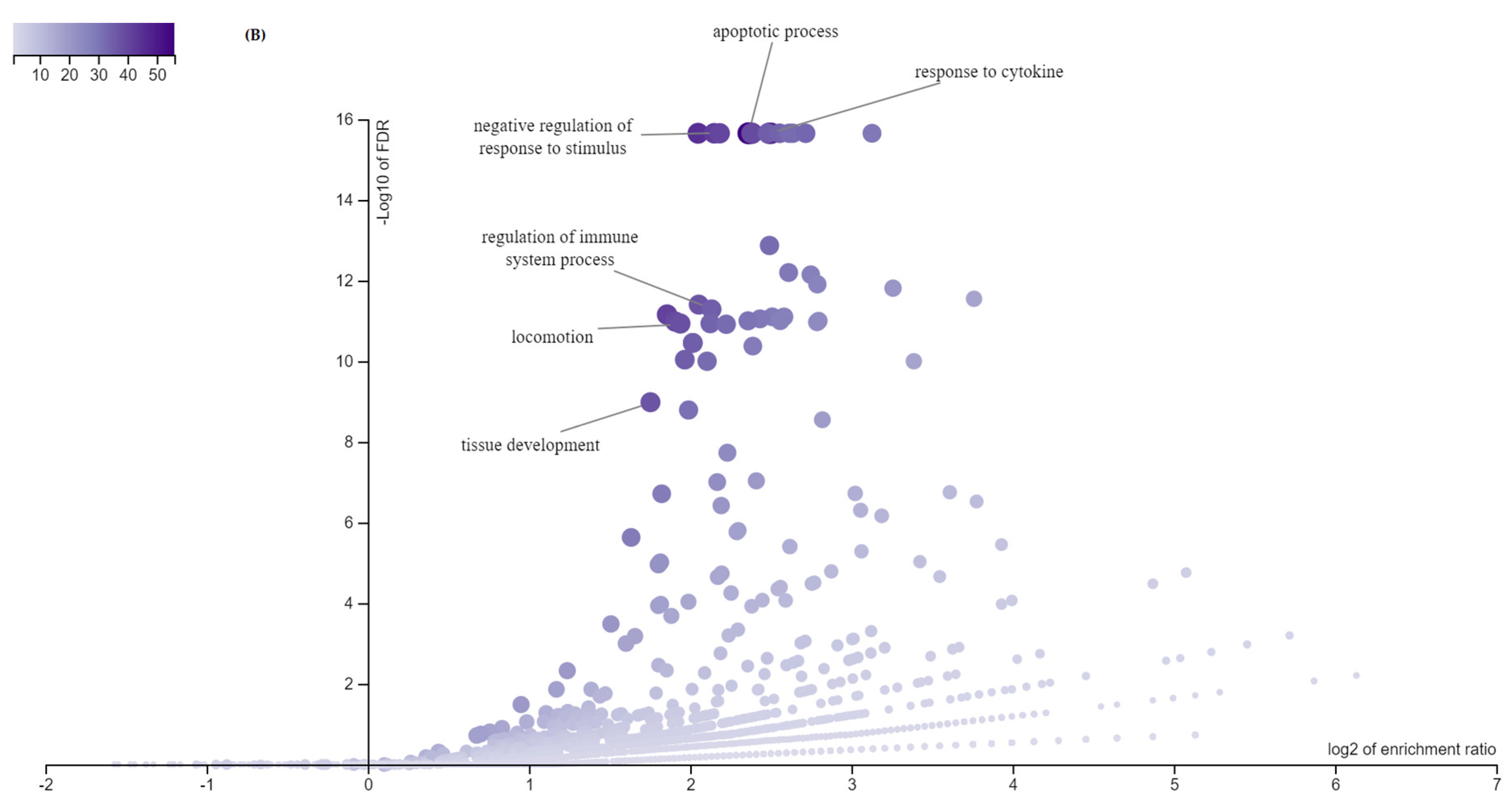 Animals 11 00675 g002b