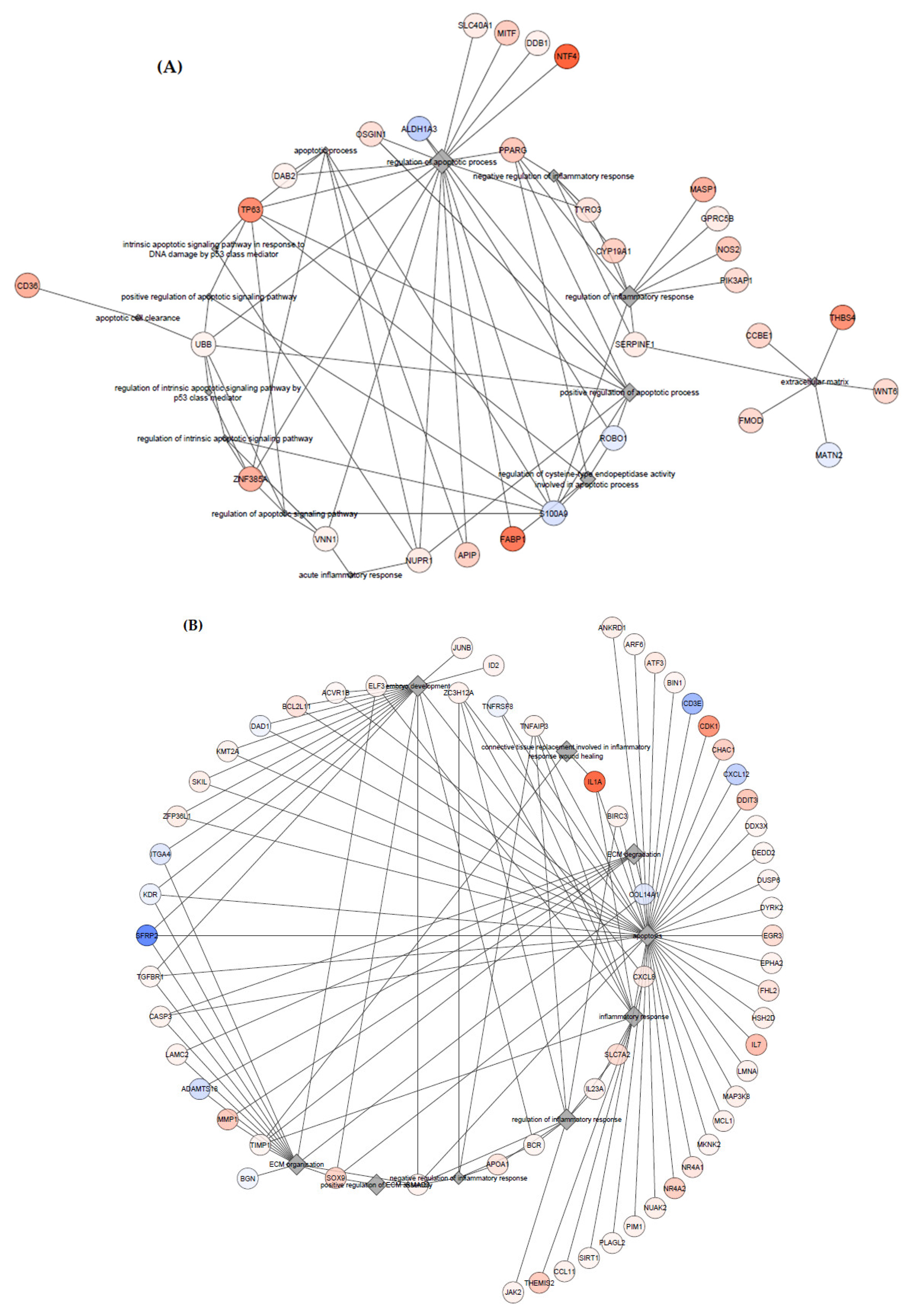Animals 11 00675 g003