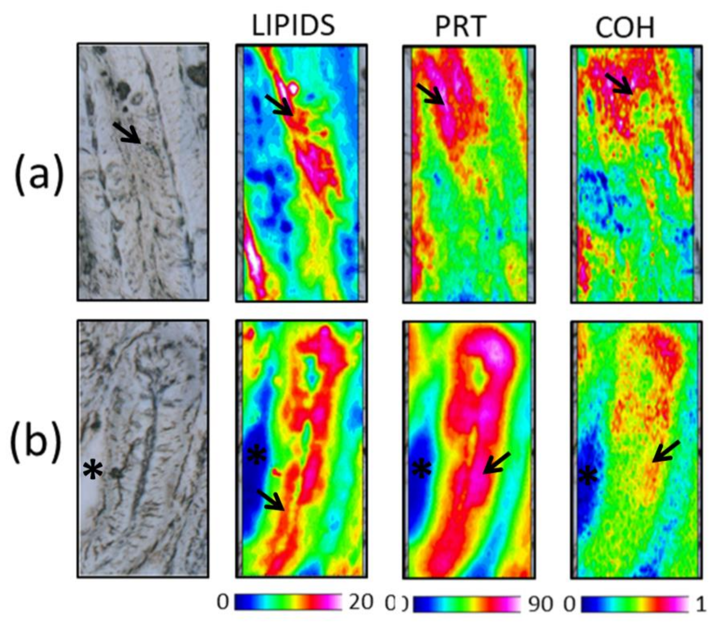 Animals 11 00677 g005 Animals 11 00677 g005