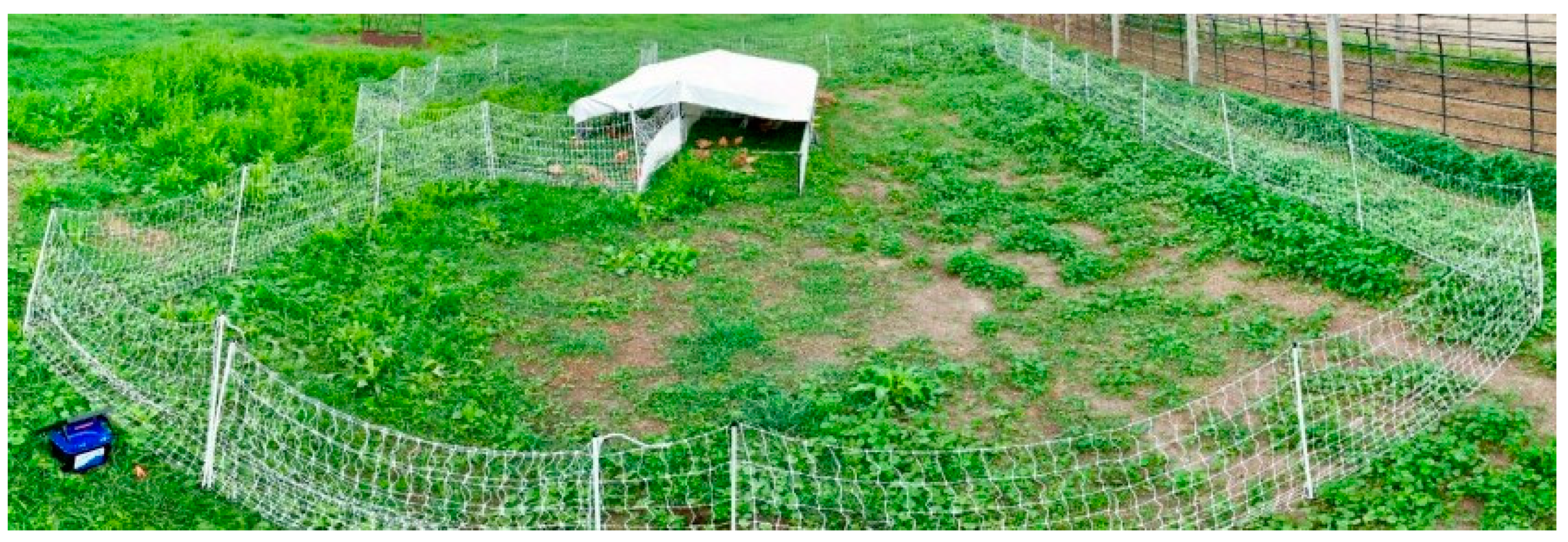 Animals 11 00688 g001